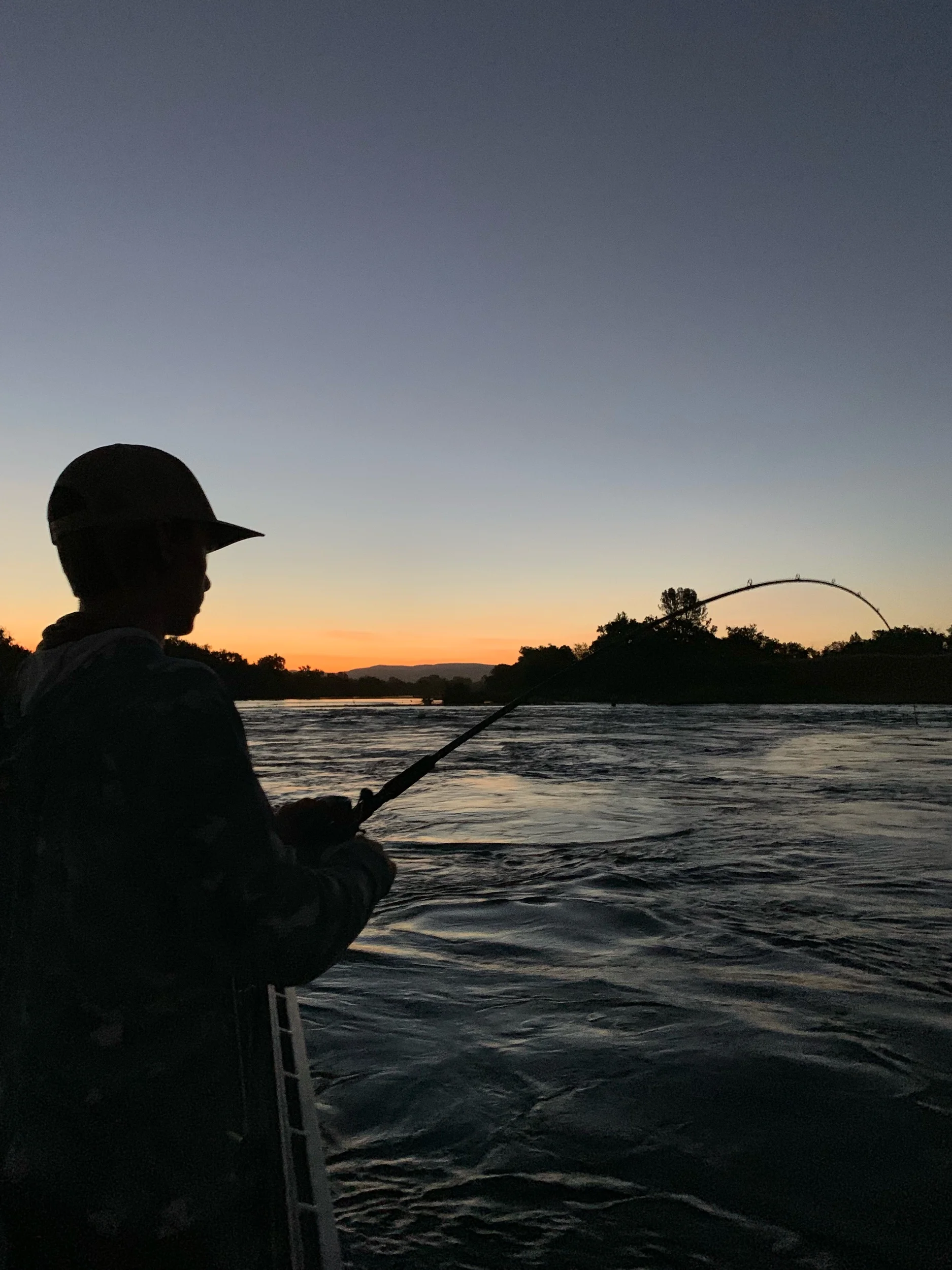 Sunrise Salmon On The Line
