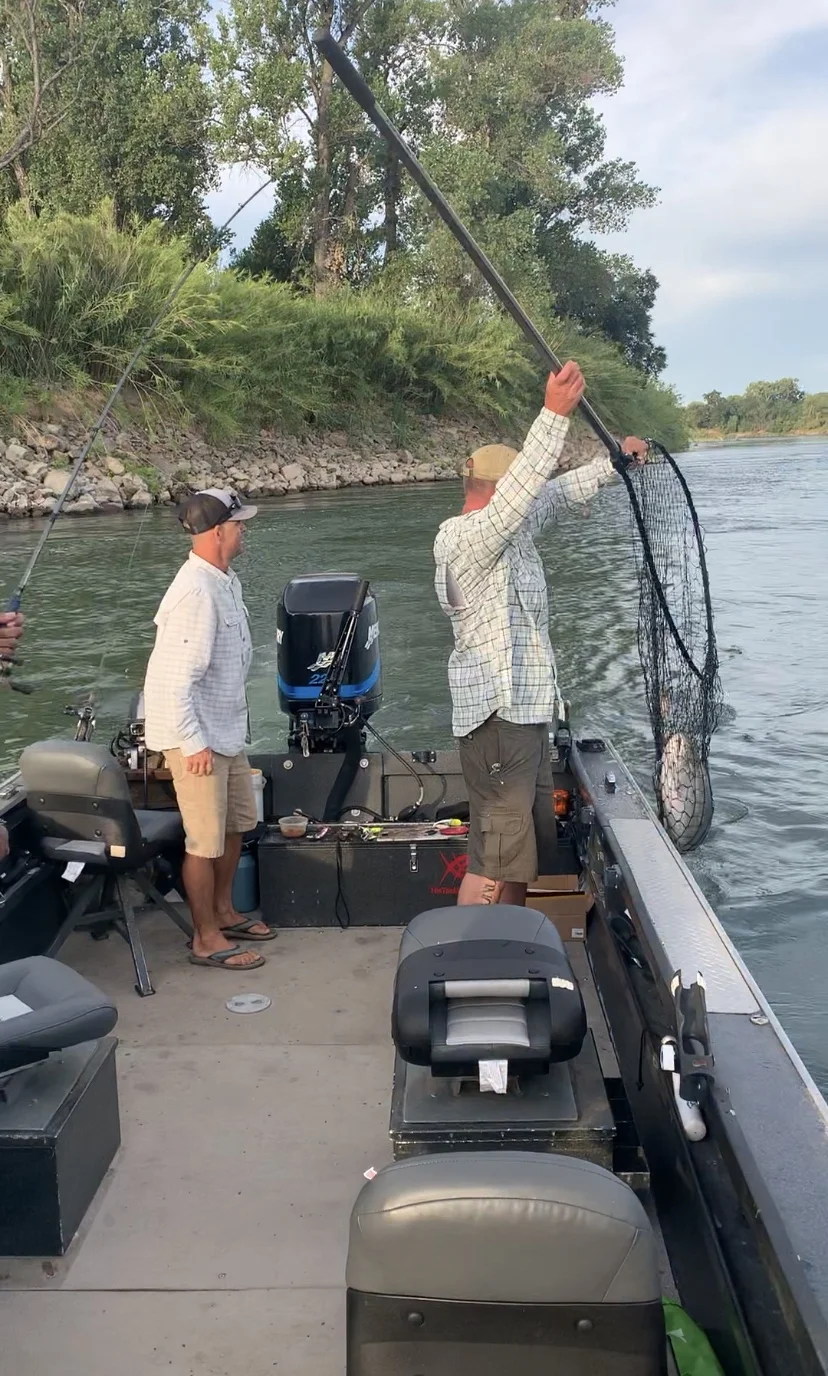 Two Sacramento River Salmon Fishing Guides