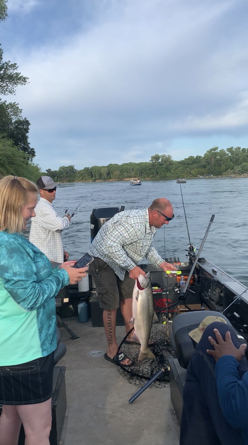 King Salmon Brought Aboard J. Pearl Guide Service Jet Boat