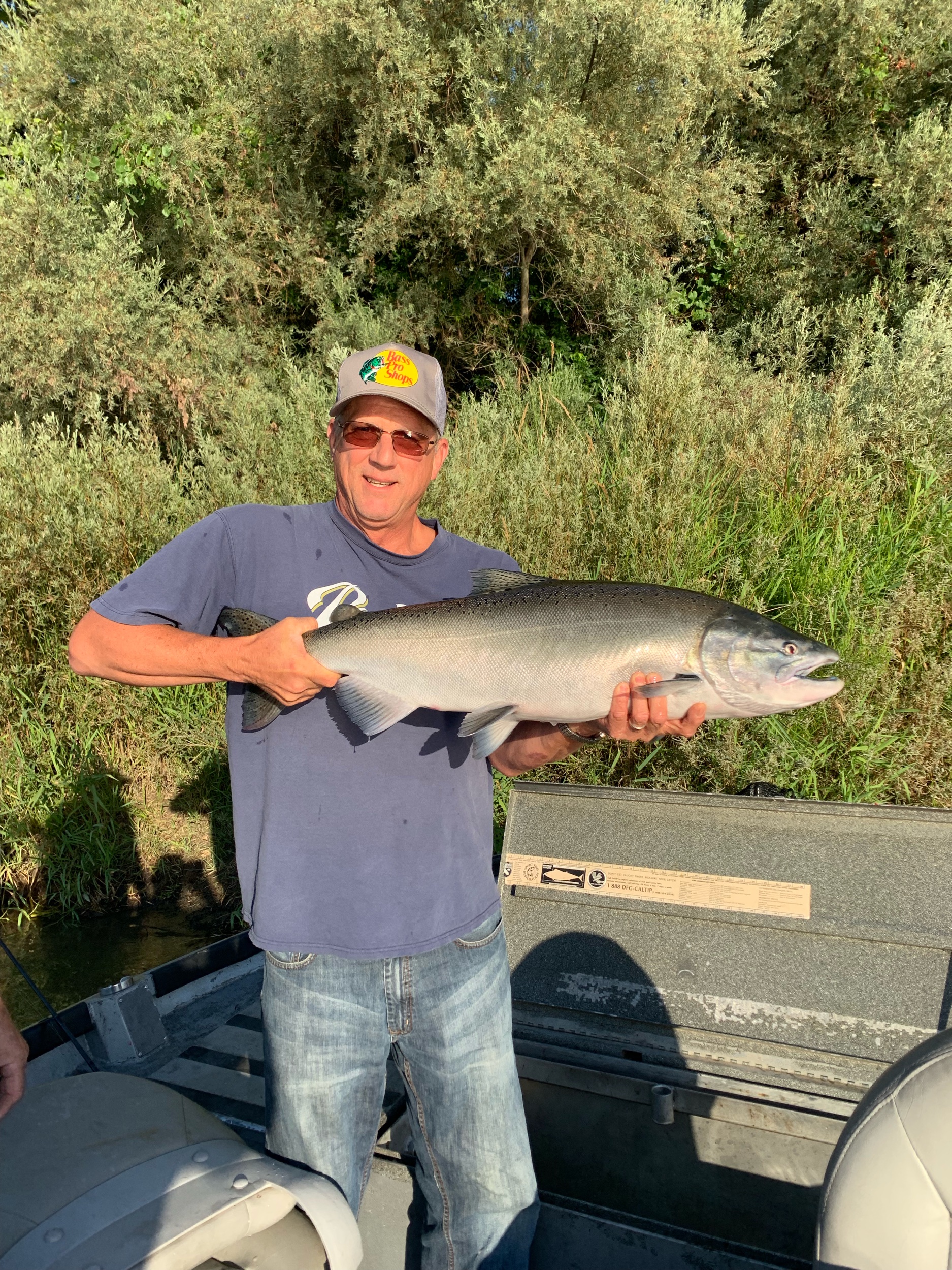 August 31, 2019 Chrome King Salmon