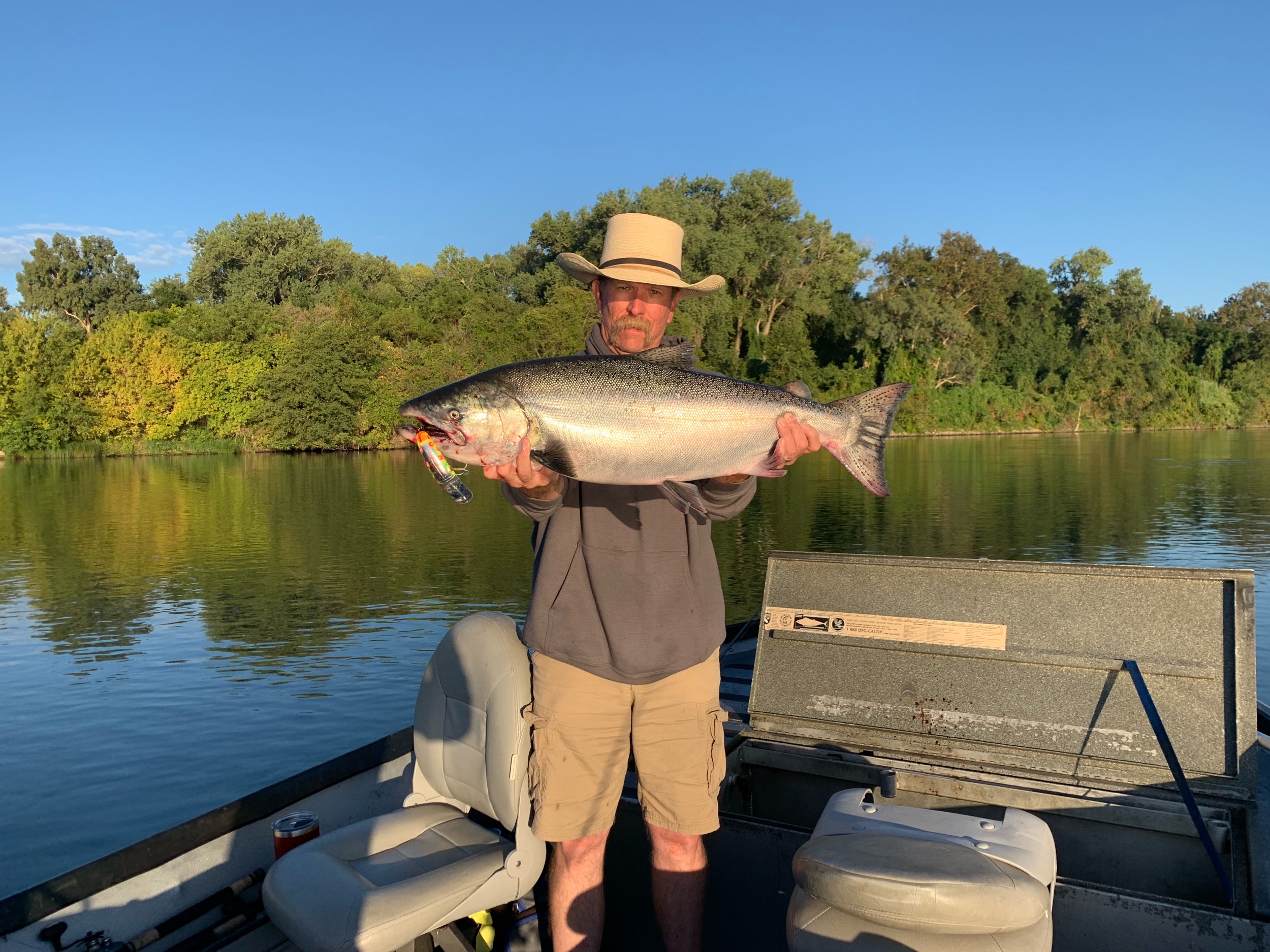 Chrome King Salmon Caught On August 7, 2019