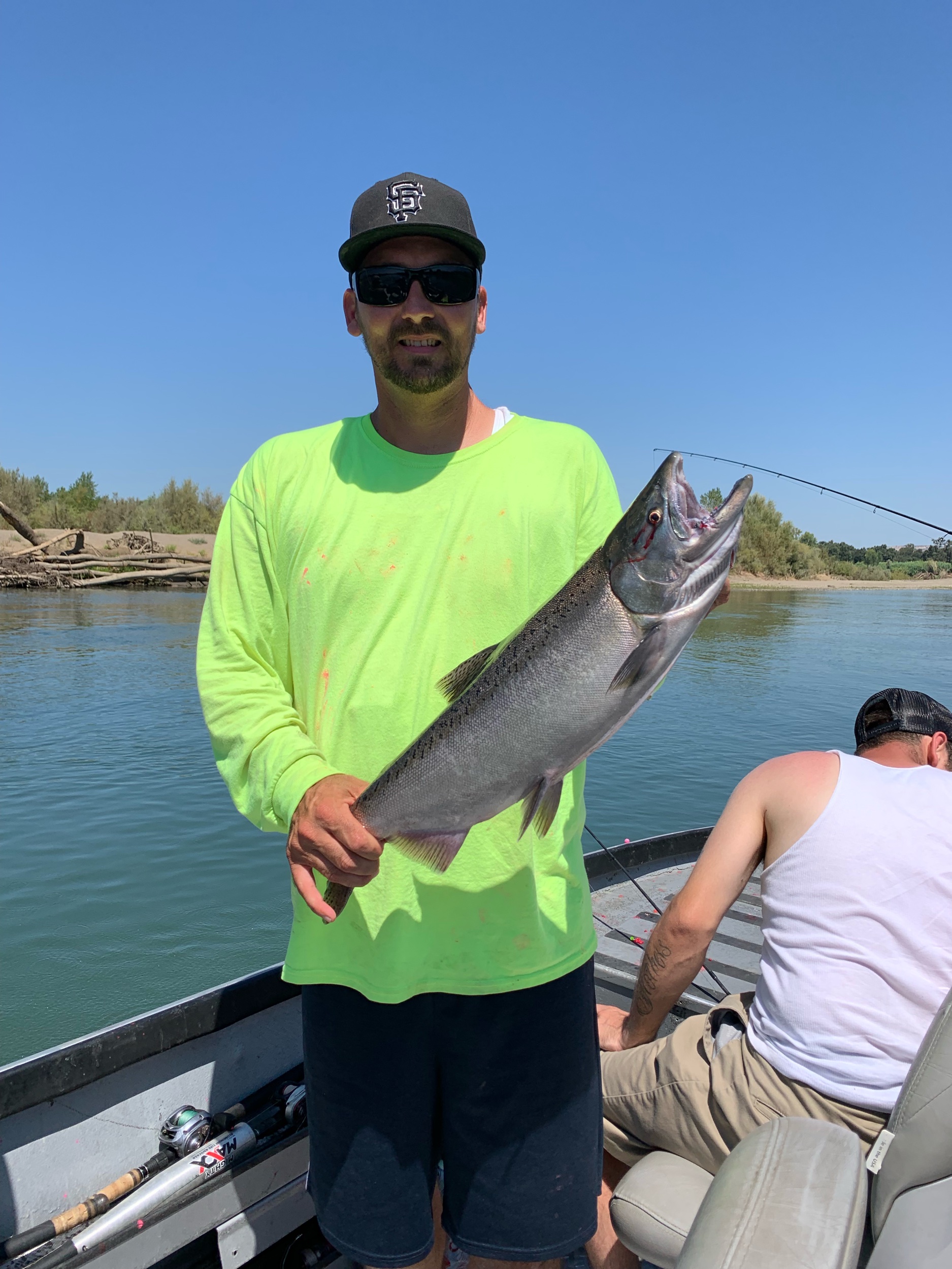 Jack Salmon Caught On The Sacramento River