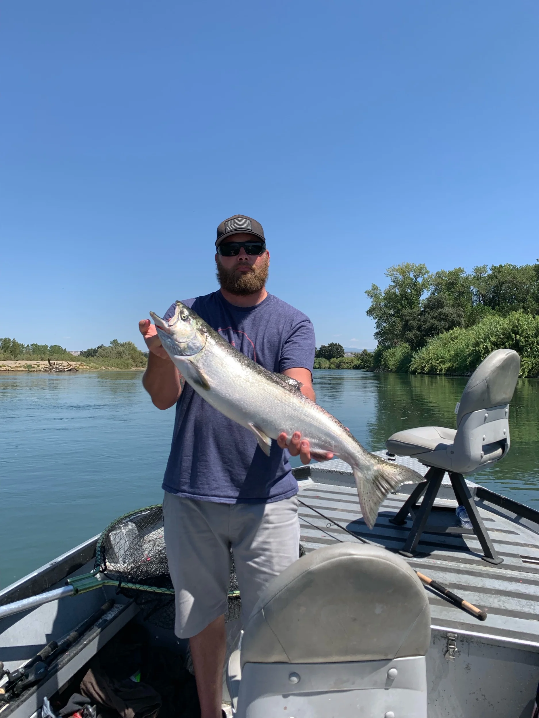 Dime Bright King Salmon