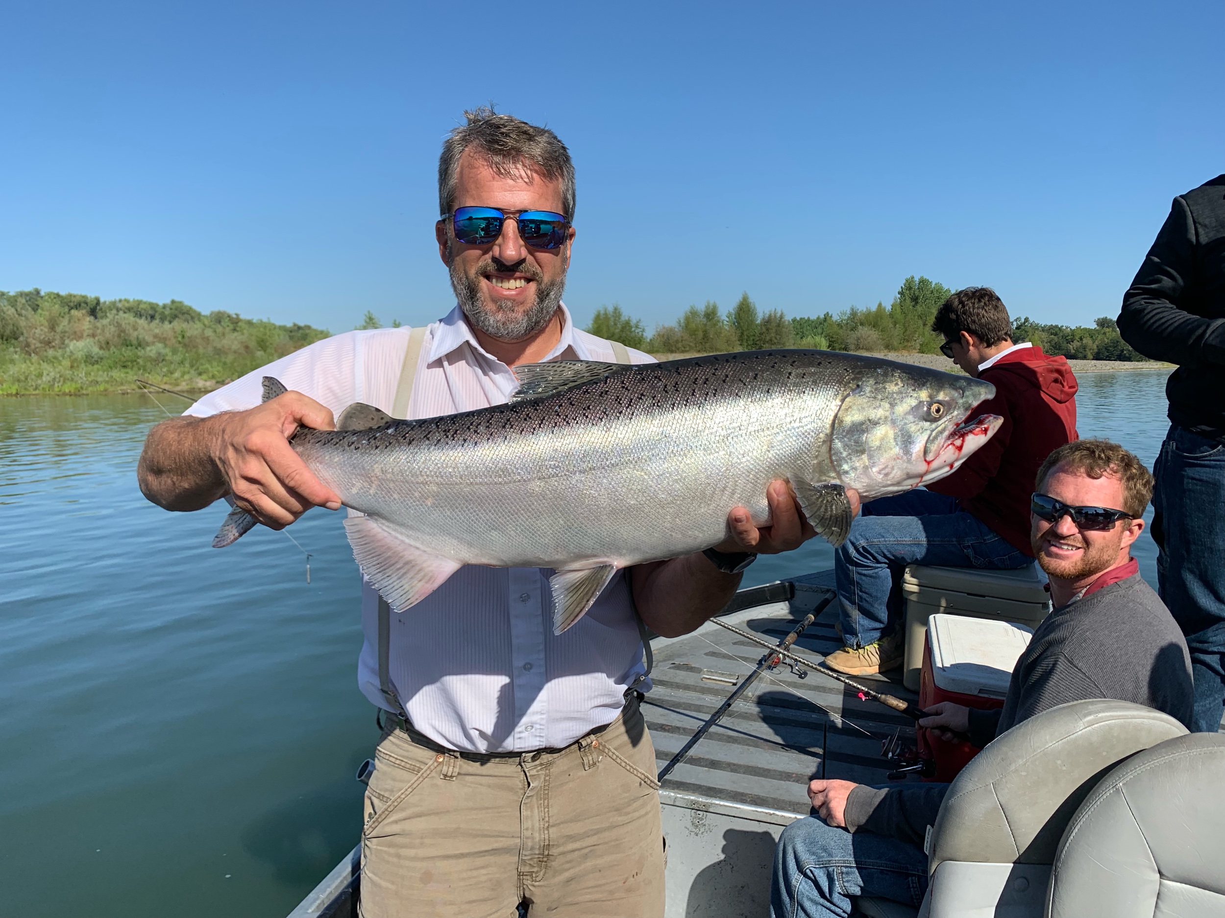 Party leader Paul Simons holds up a beautiful king salmon he caught on August 21, 2019 while dragging cured salmon roe on the Sacramento River.