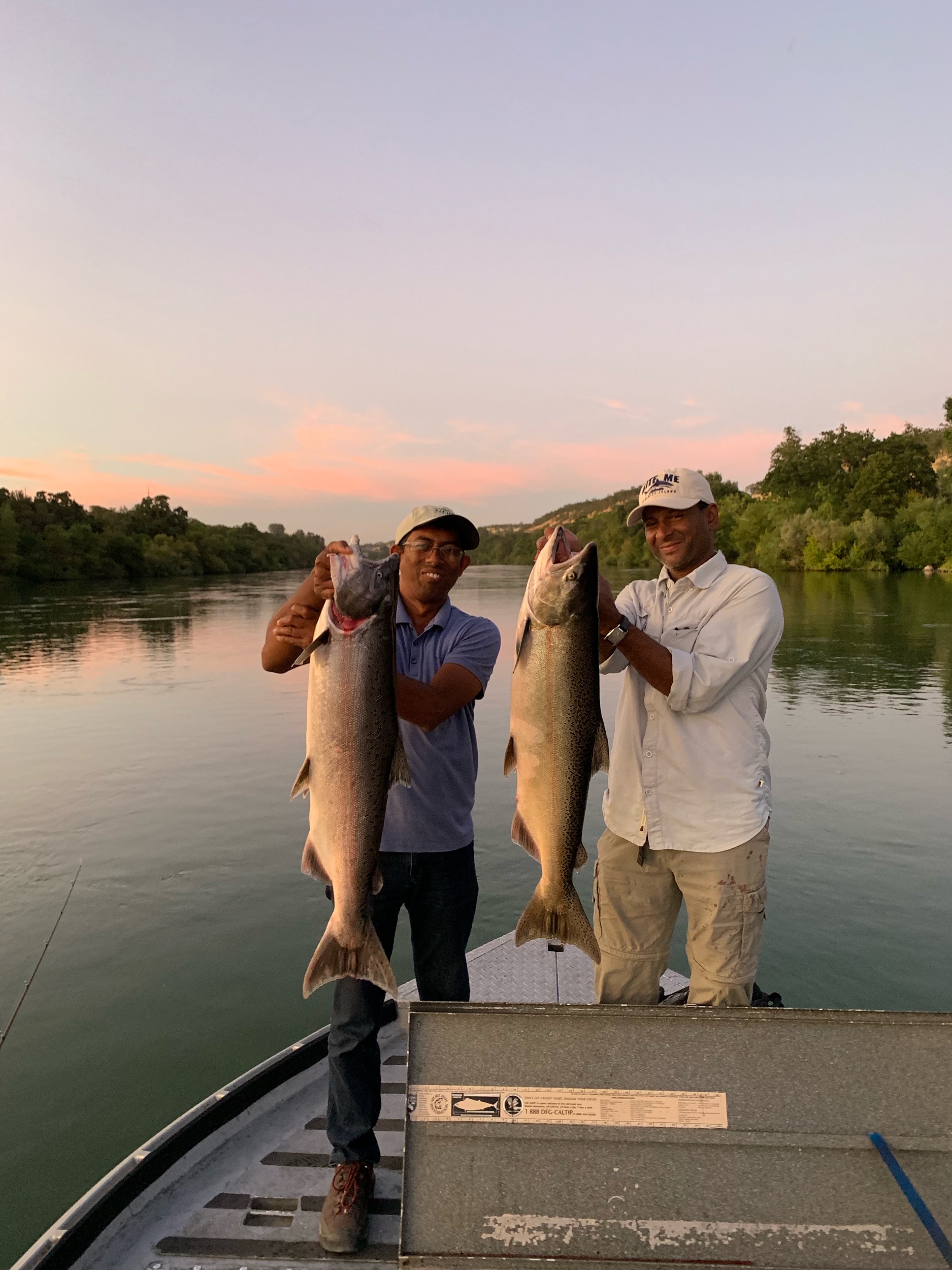 Ruben and friend Shamal from Chico, Ca hold up a pair of king salmon they caught while on a afternoon guided salmon fishing trip on a daily fishing charter out of Red Bluff, Ca. Fishing guide Ryan Tripp put these two friends on their pair of salmon. August 21, 2019
