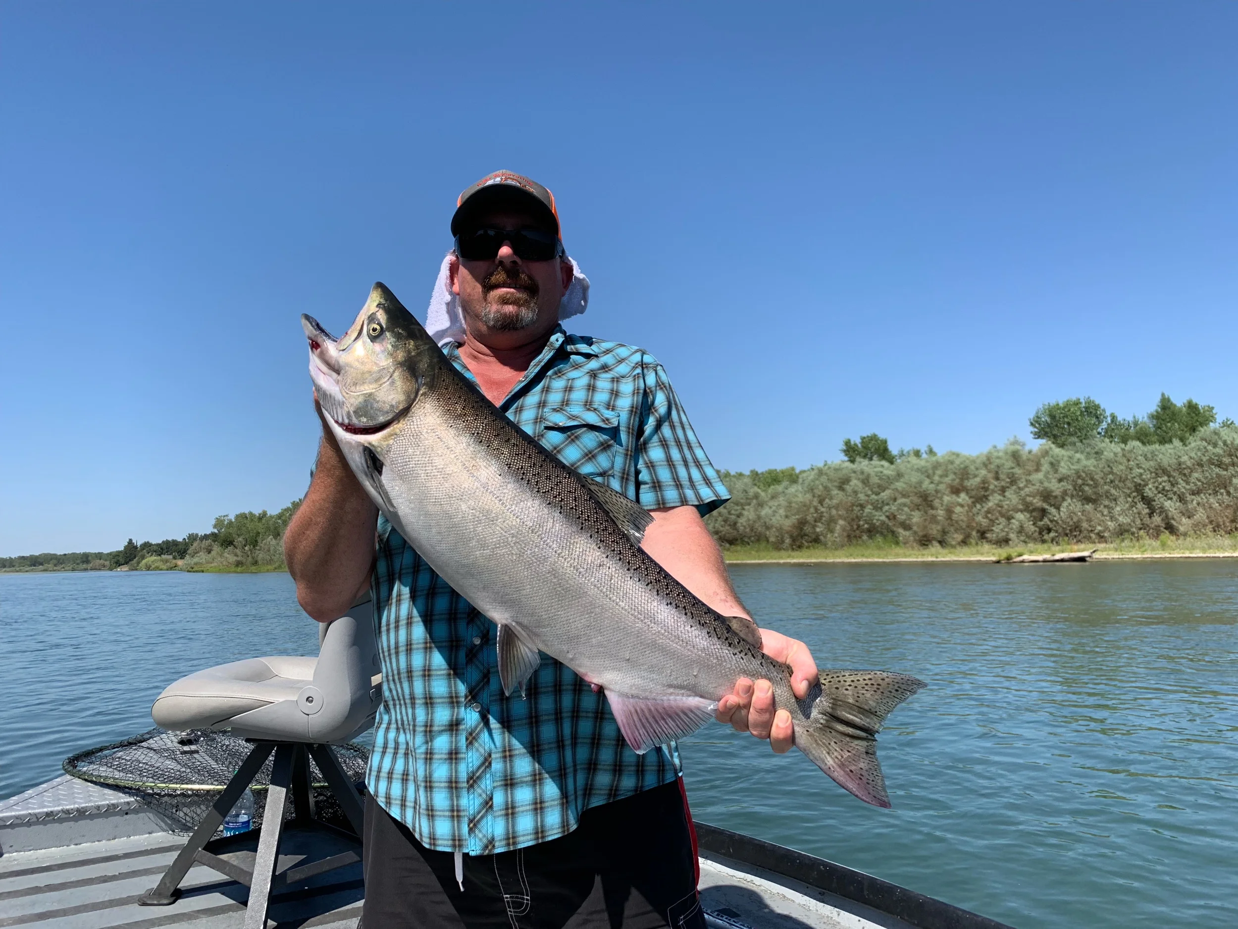 Big Hen Chinook Salmon Caught August 26, 2019