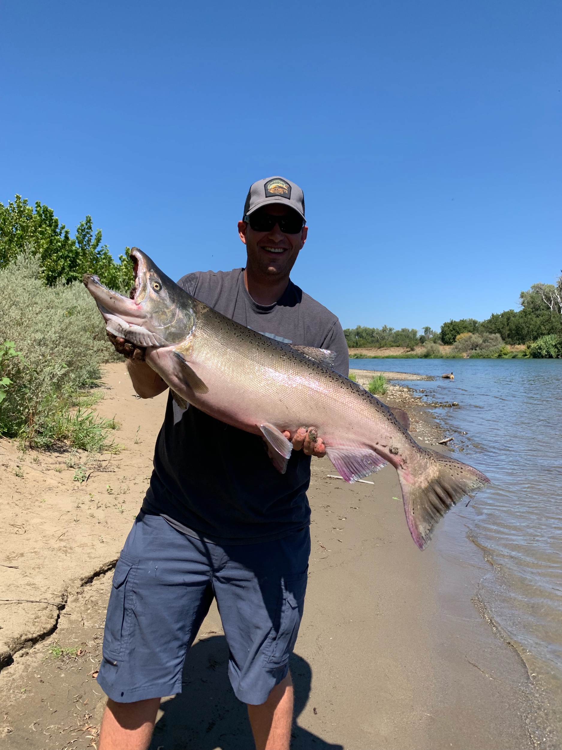 Big Chinook Salmon Caught On August 31, 2019