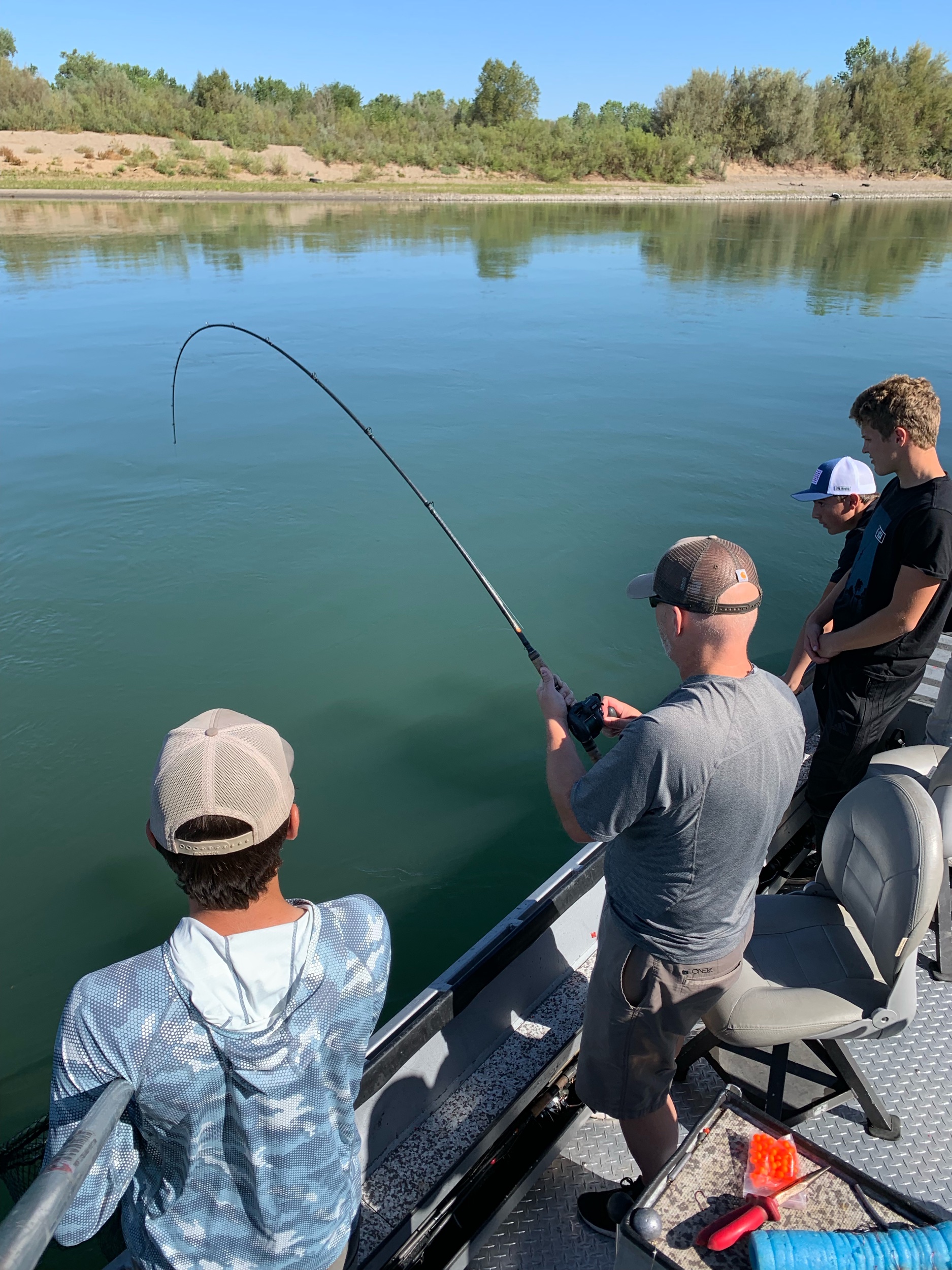 Fighting A King Salmon On The Sacramento River