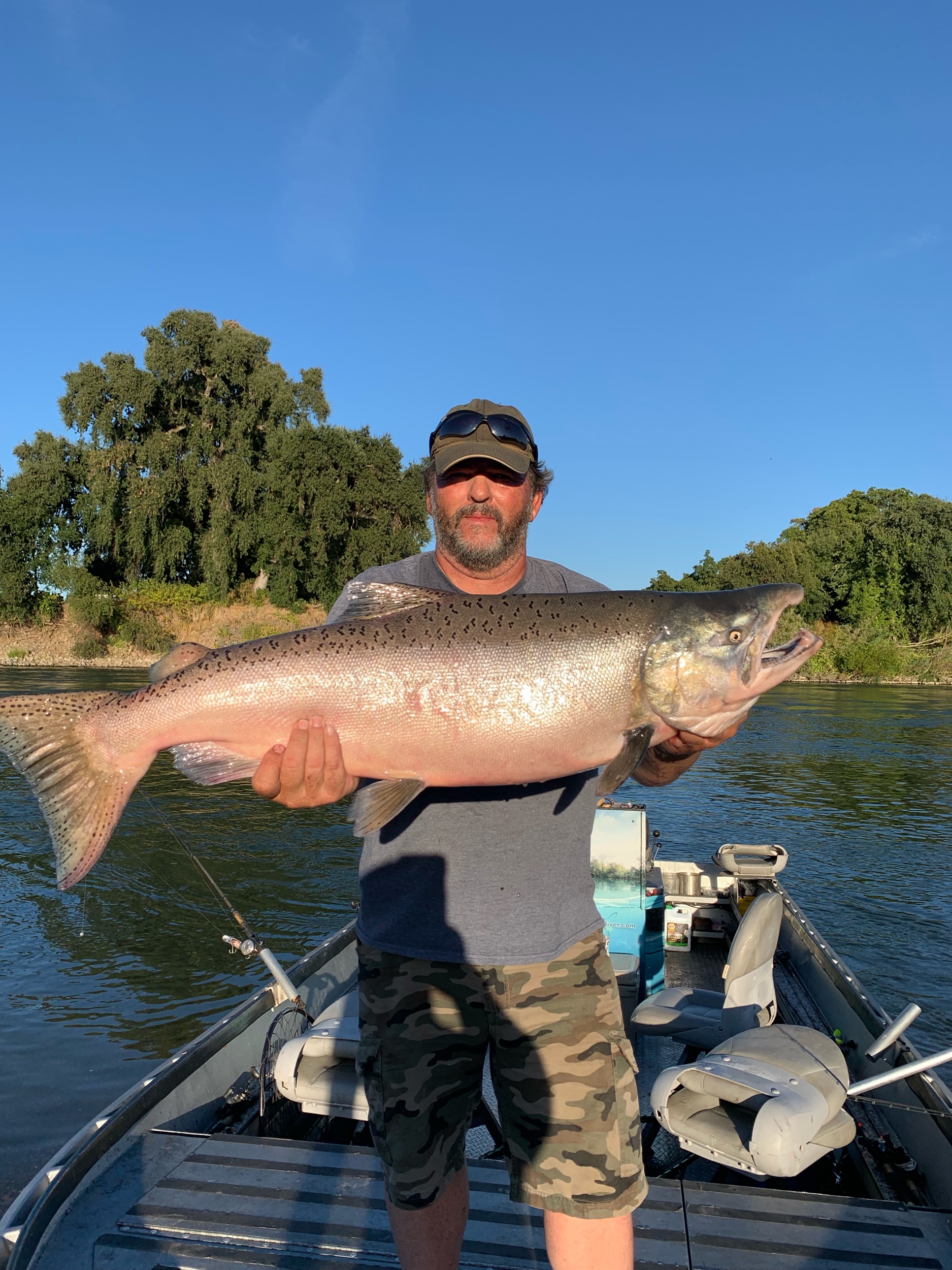 Large Adult Chinook Salmon Caught On Fishing Charter