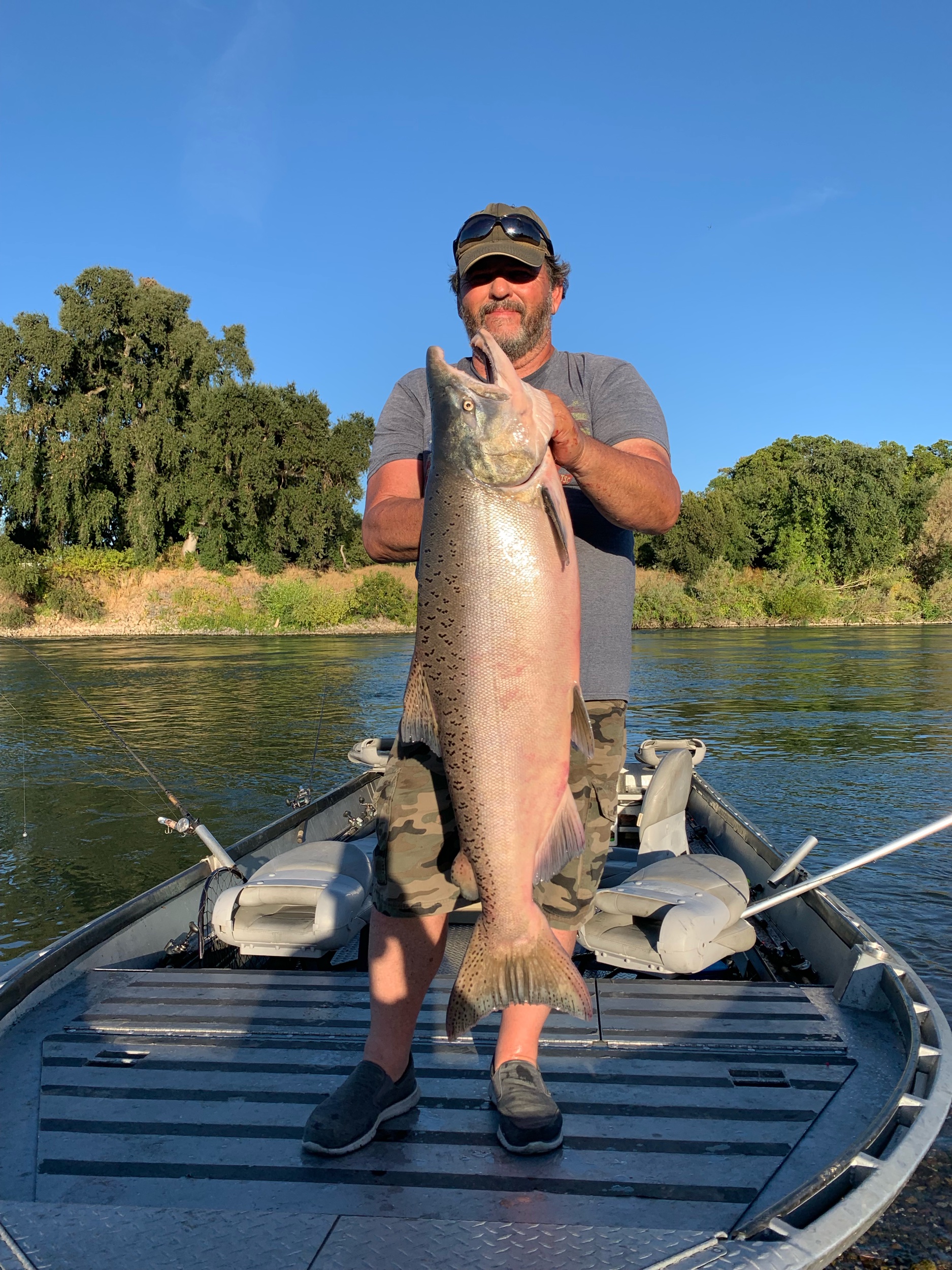 Hog King Salmon Caught September 3, 2019