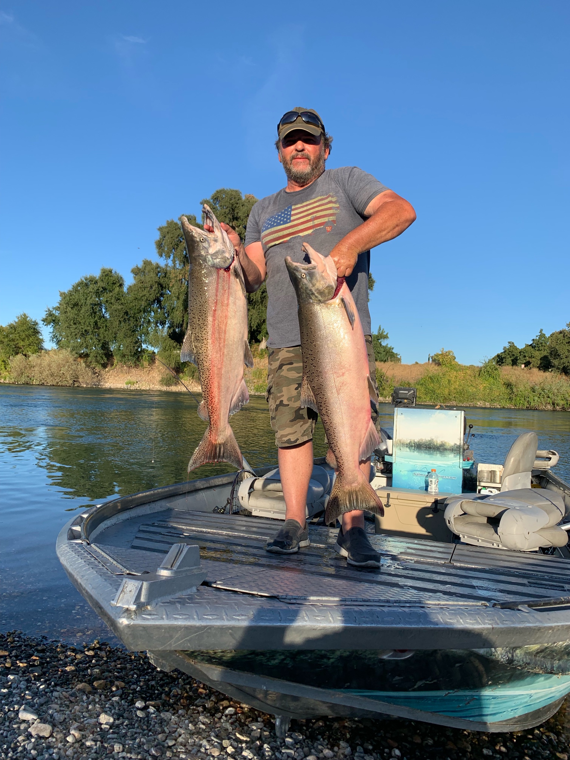 A Pair Of Sacramento River King Salmon