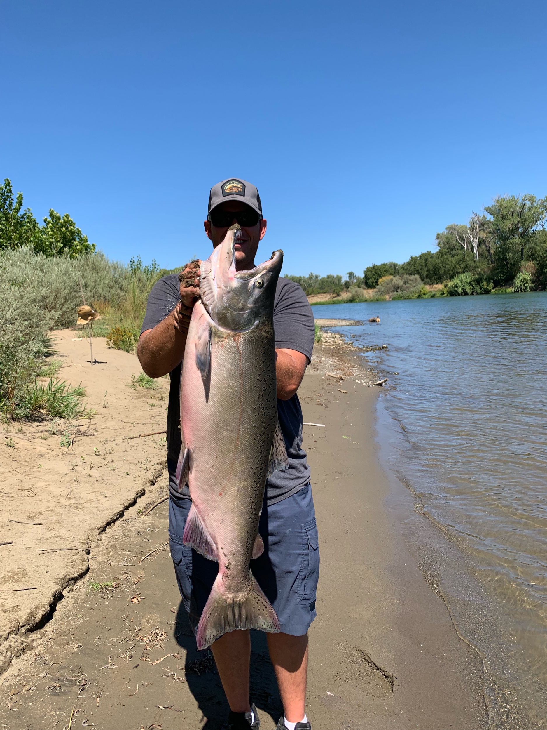 Greg Hydeman from Red Bluff, Ca holds up a large buck king salmon he caught while back bouncing cured salmon roe on the Sacramento River near Los Molinos, Ca on August 31, 2019.