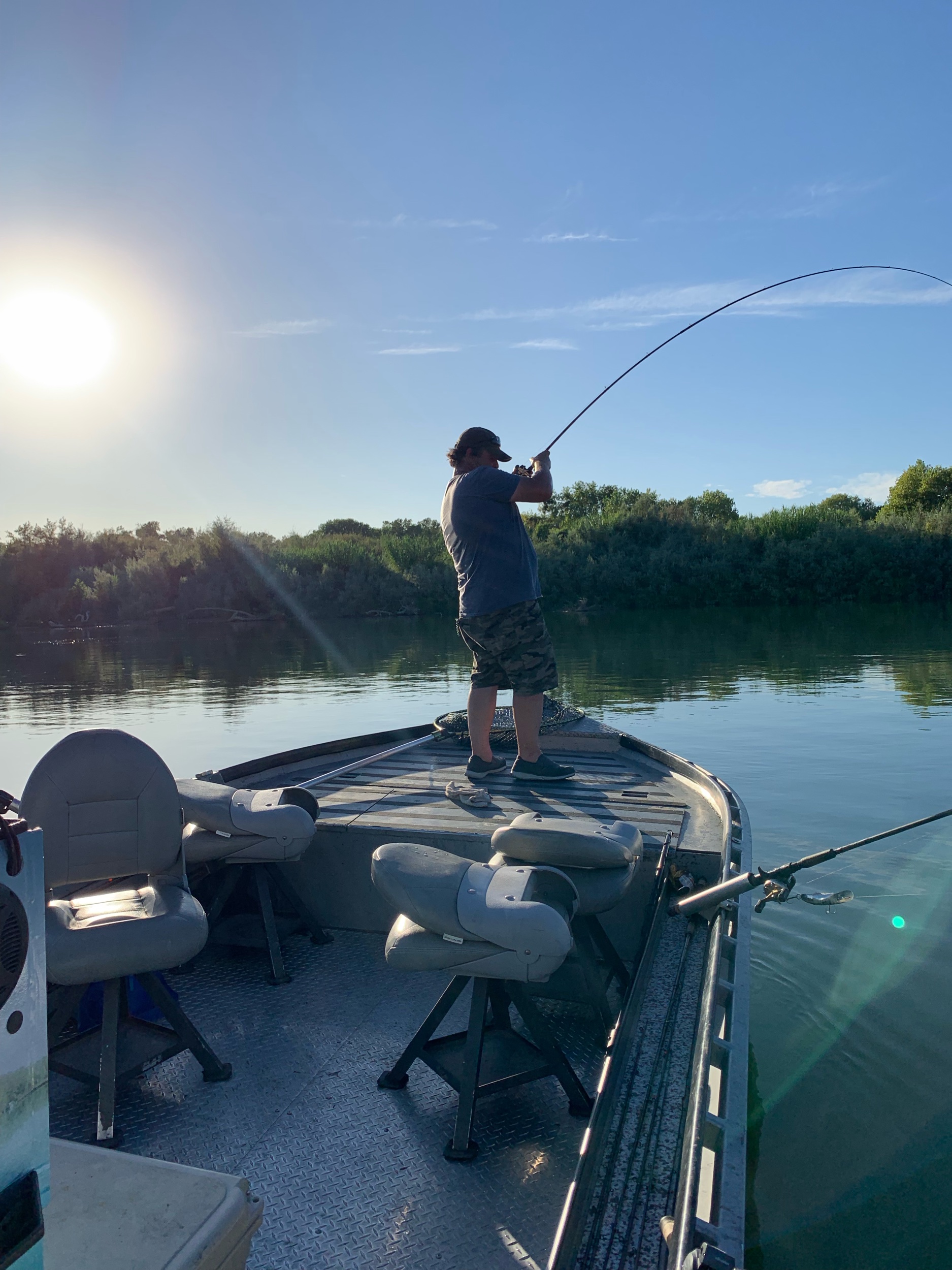 This guest of Mike’s Guide Service battles a 27 pound king salmon he caught while back bouncing cured salmon roe on the Sacramento River at Woodson Bridge. His Phenix Rod Co. 9.5ft casting rod is bent over on a afternoon salmon fishing trip on September 4, 2019.