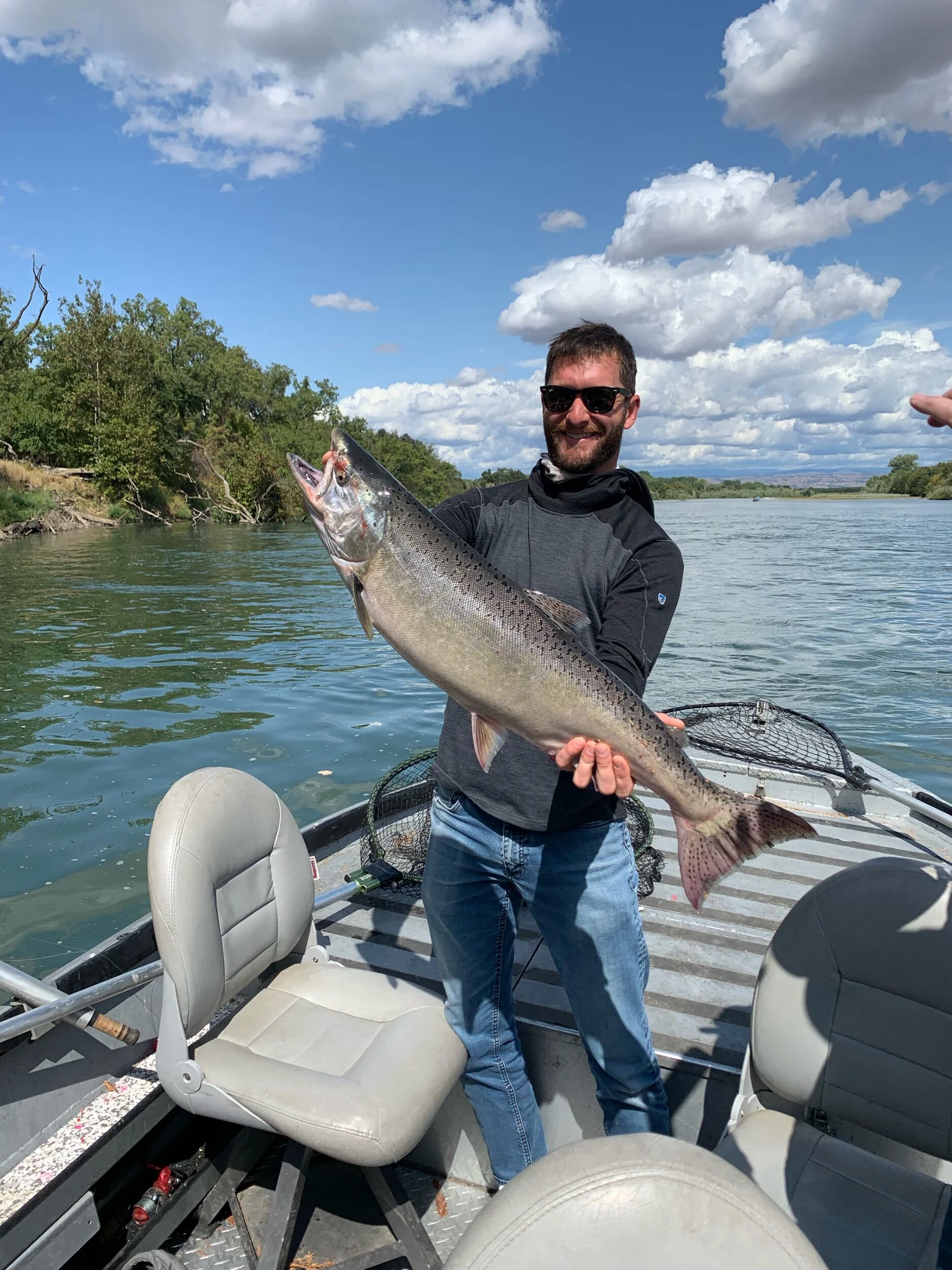 A Large Chinook Salmon At Woodson Bridge On The Sacramento River