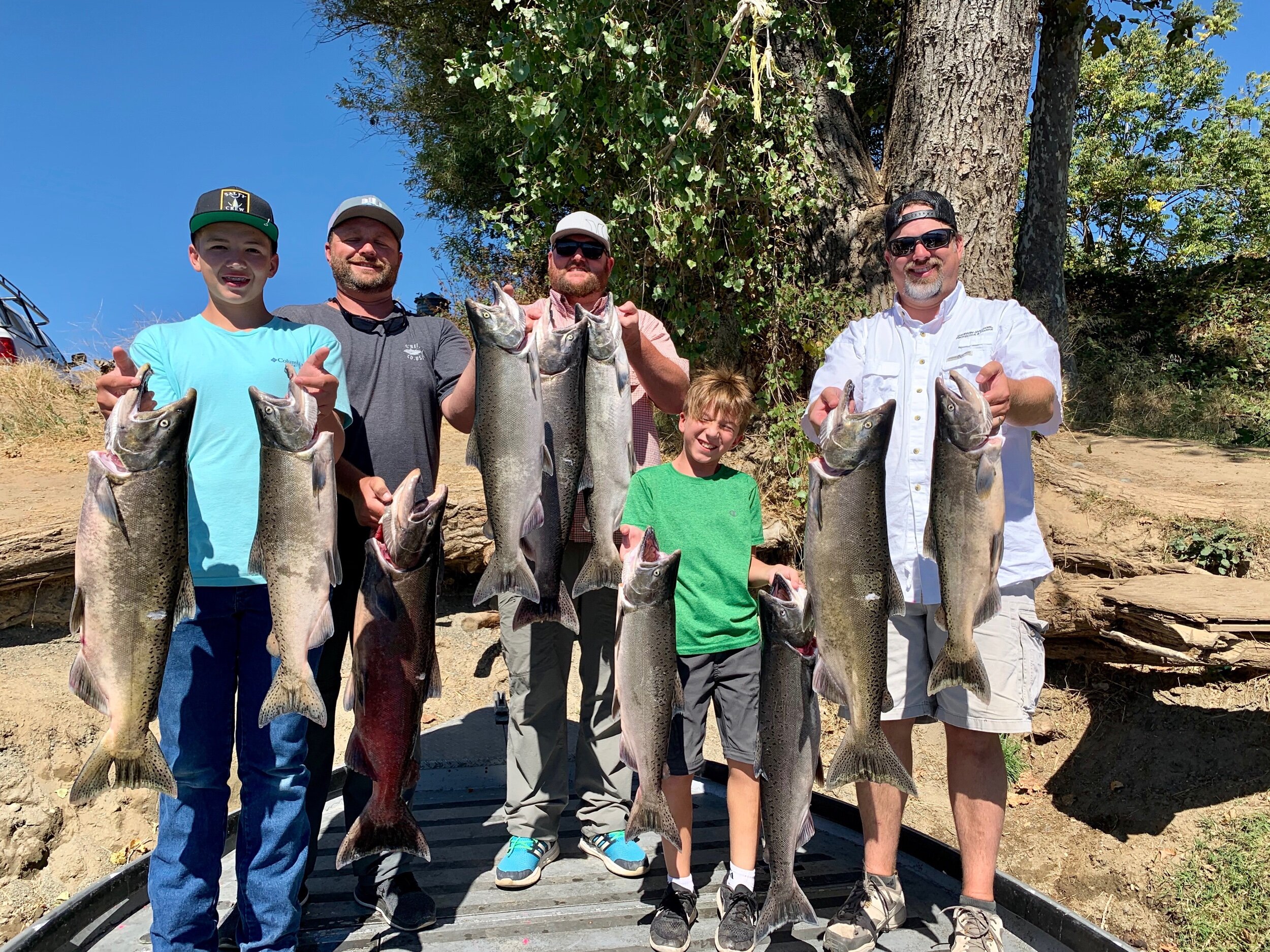 Limits of Feather River King Salmon caught by salmon fishing guide Ryan Tripp on September 24, 2019. Ryan and crew were fishing near Oroville, Ca on the Feather River.
