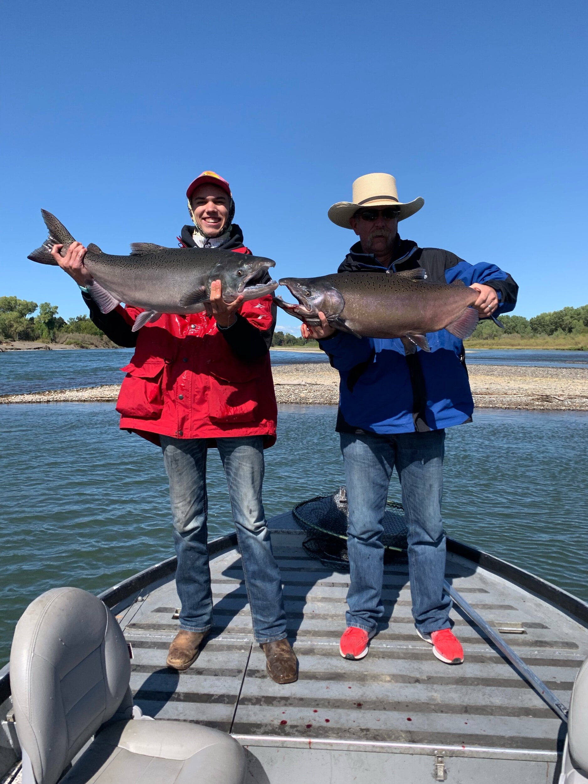 Father (Sam) and Son (Gavin) hold up a pair of big buck chinook salmon they caught during a double hookup on the Sacramento River near Red Bluff, Ca. The duo used cured salmon roe to catch this pair of kings and traveled from Nevada on a salmon fishing vacation.