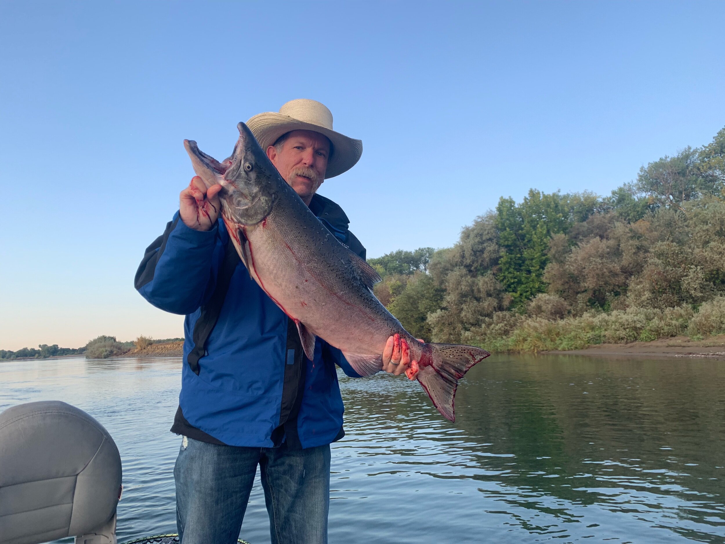First Sacramento River Salmon Of 2019