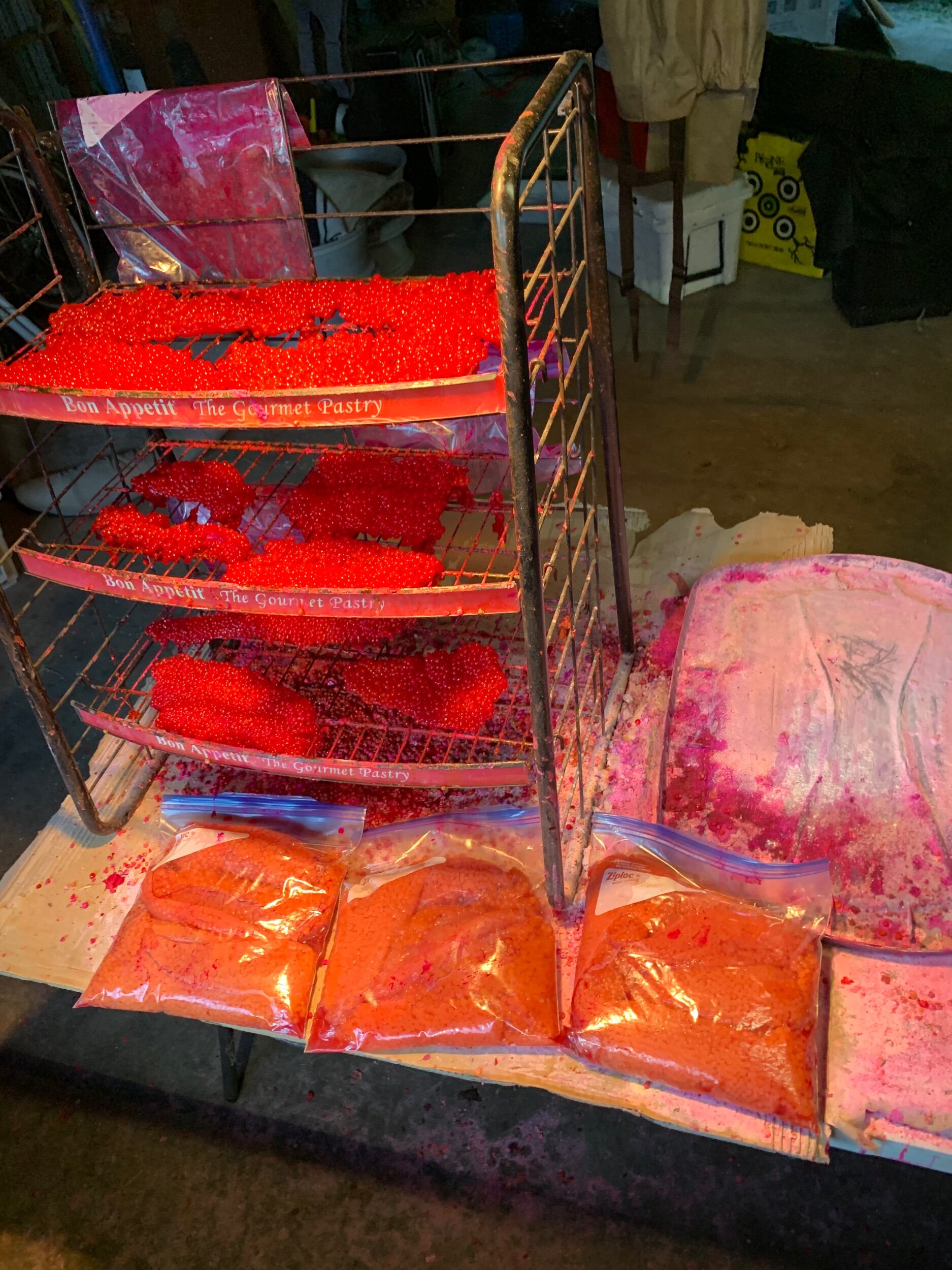 A photograph of the curing of salmon roe for bait. To be used on future salmon fishing trips.