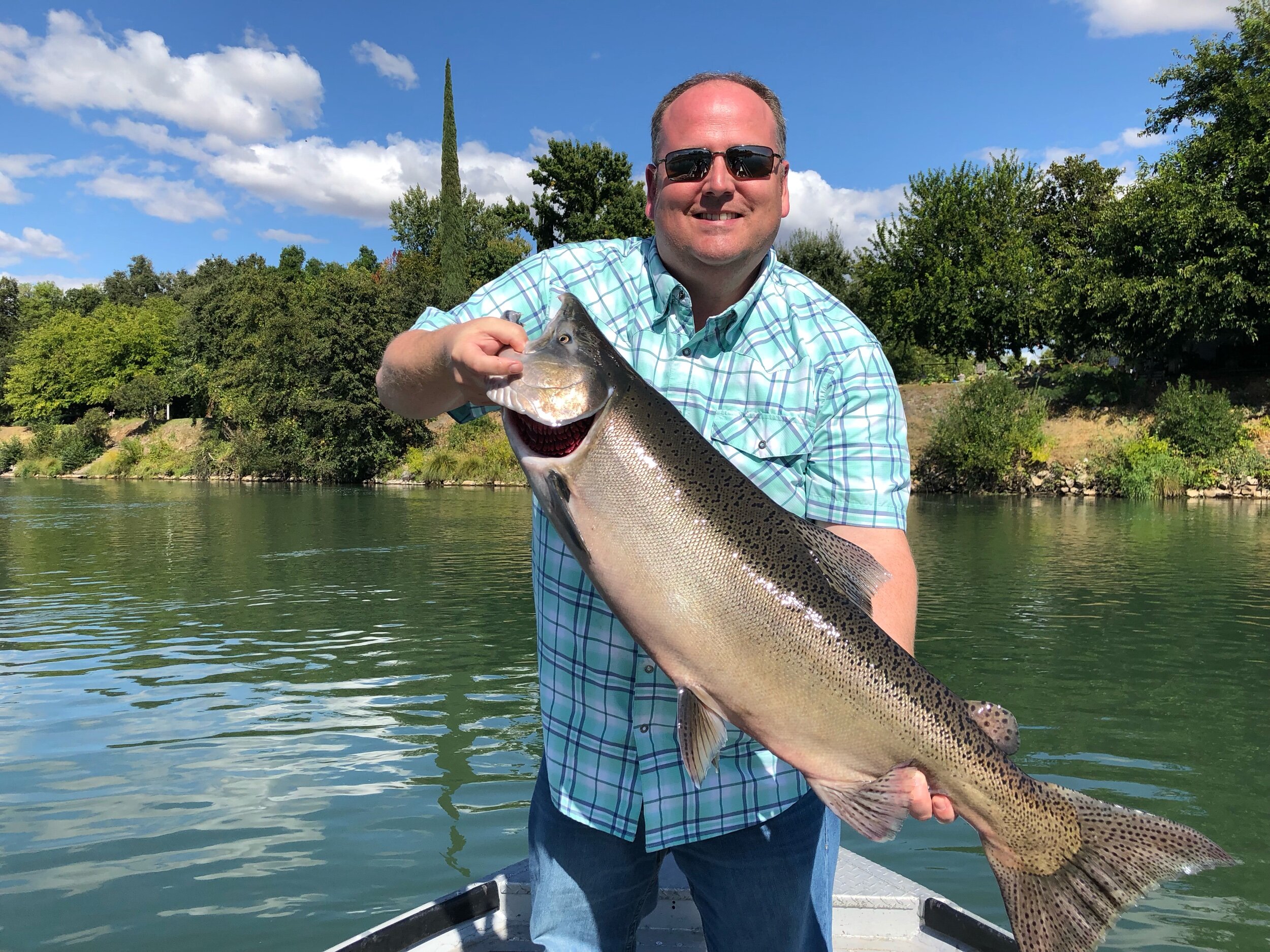 California King Salmon