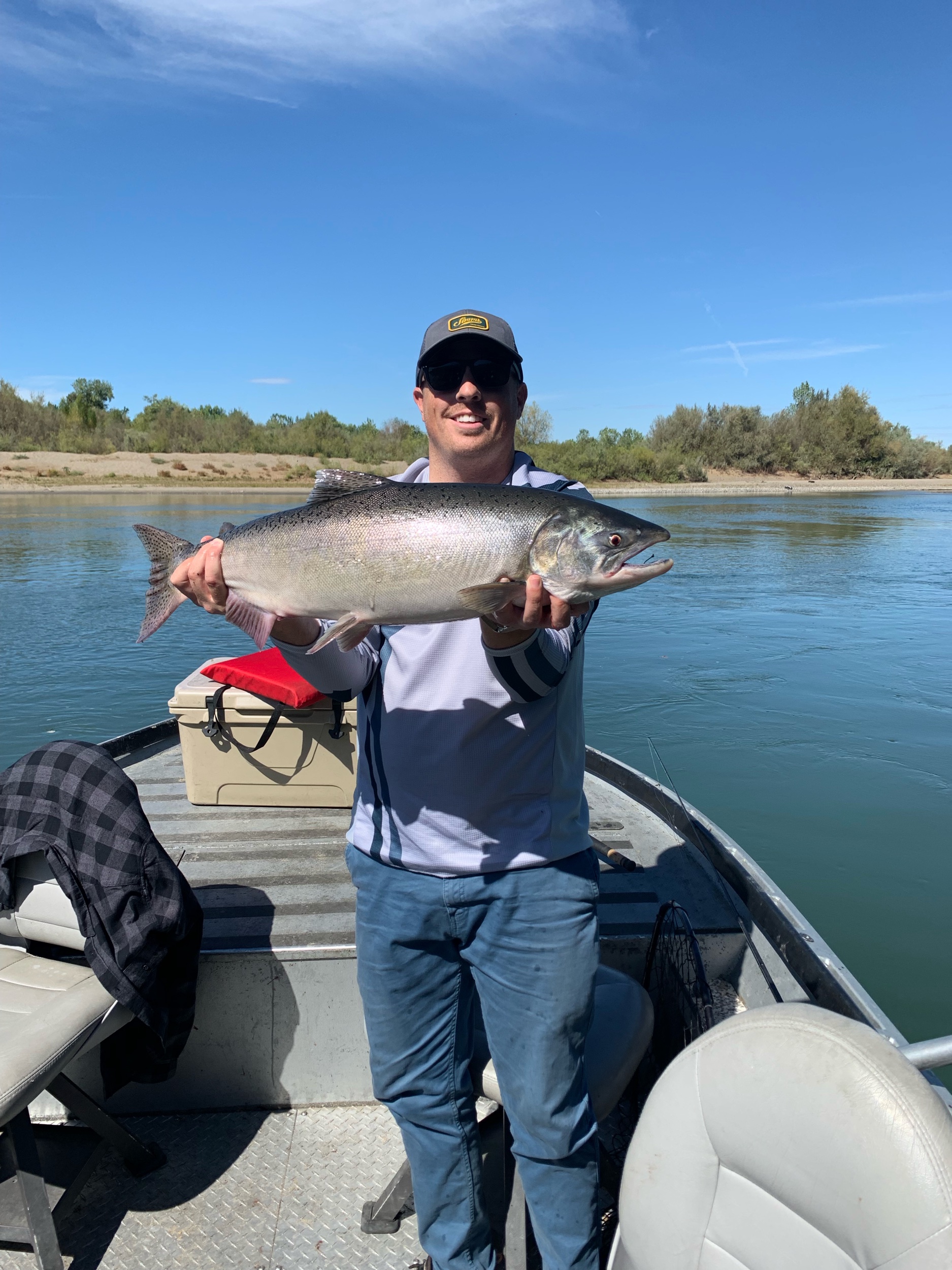 Quality Hen Chinook Salmon On The Sacramento River