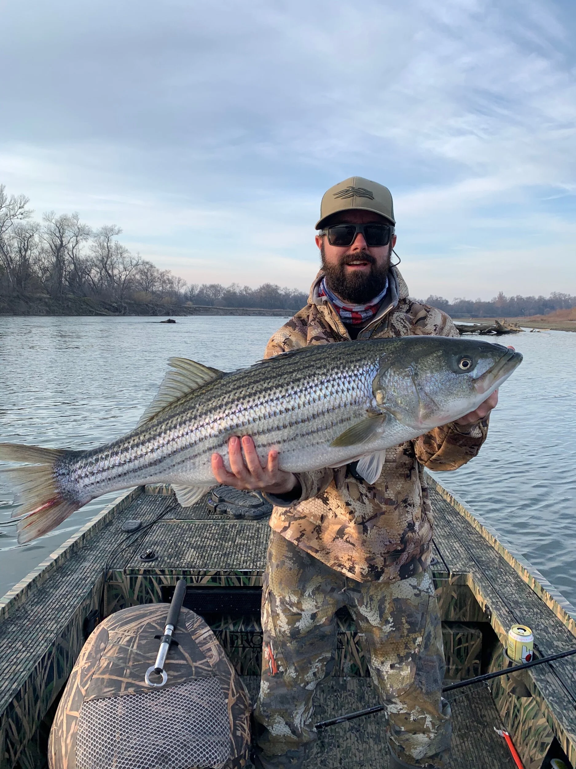 Northern California Fishing Report Sacramento River Striped Bass Wide