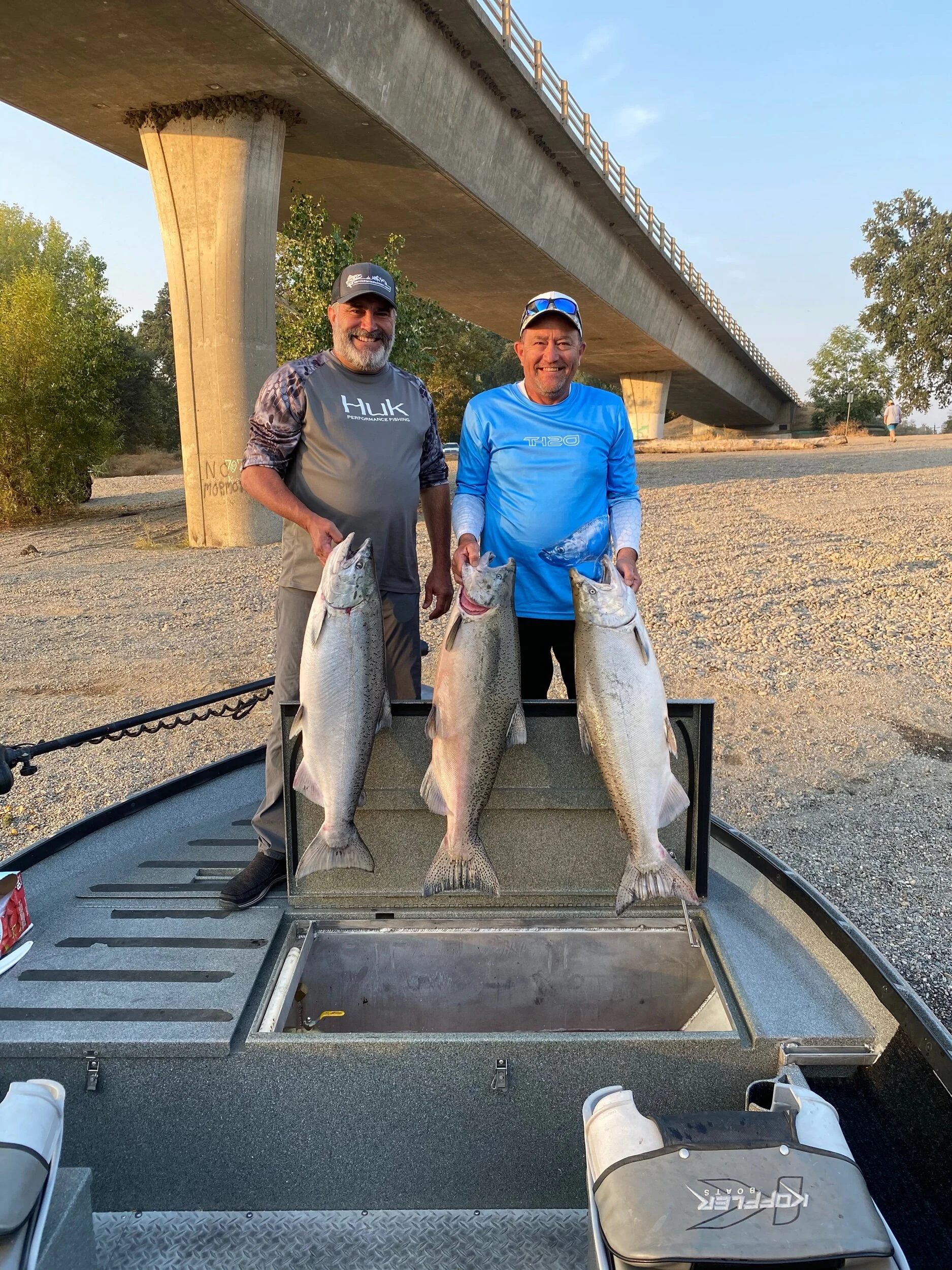A nice trio of kings for these two local NorCal anglers. These salmon were caught using Kwikfish on the Sacramento River near Corning, Ca.
