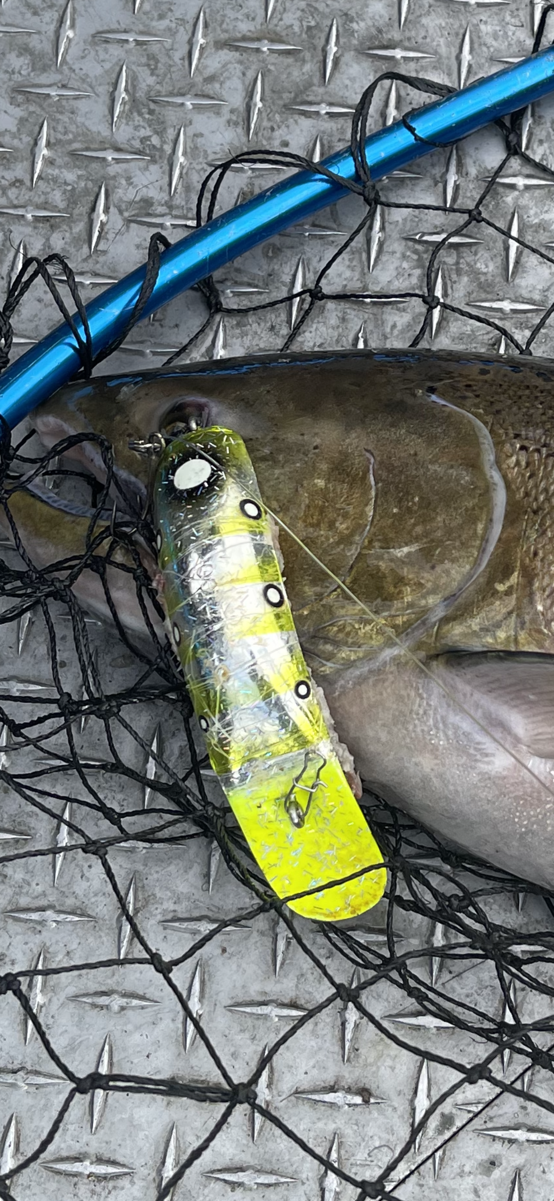 Sacramento River water levels have dropped over the past two weeks. Switching plug sizes will benefit anglers choosing to target salmon using sardine wrapped lures. Like this custom Kenny Turner “green, green”. A Yakima Bait Company T-60. The largest lure made on the market. Excellent for slow, lazy river currents.