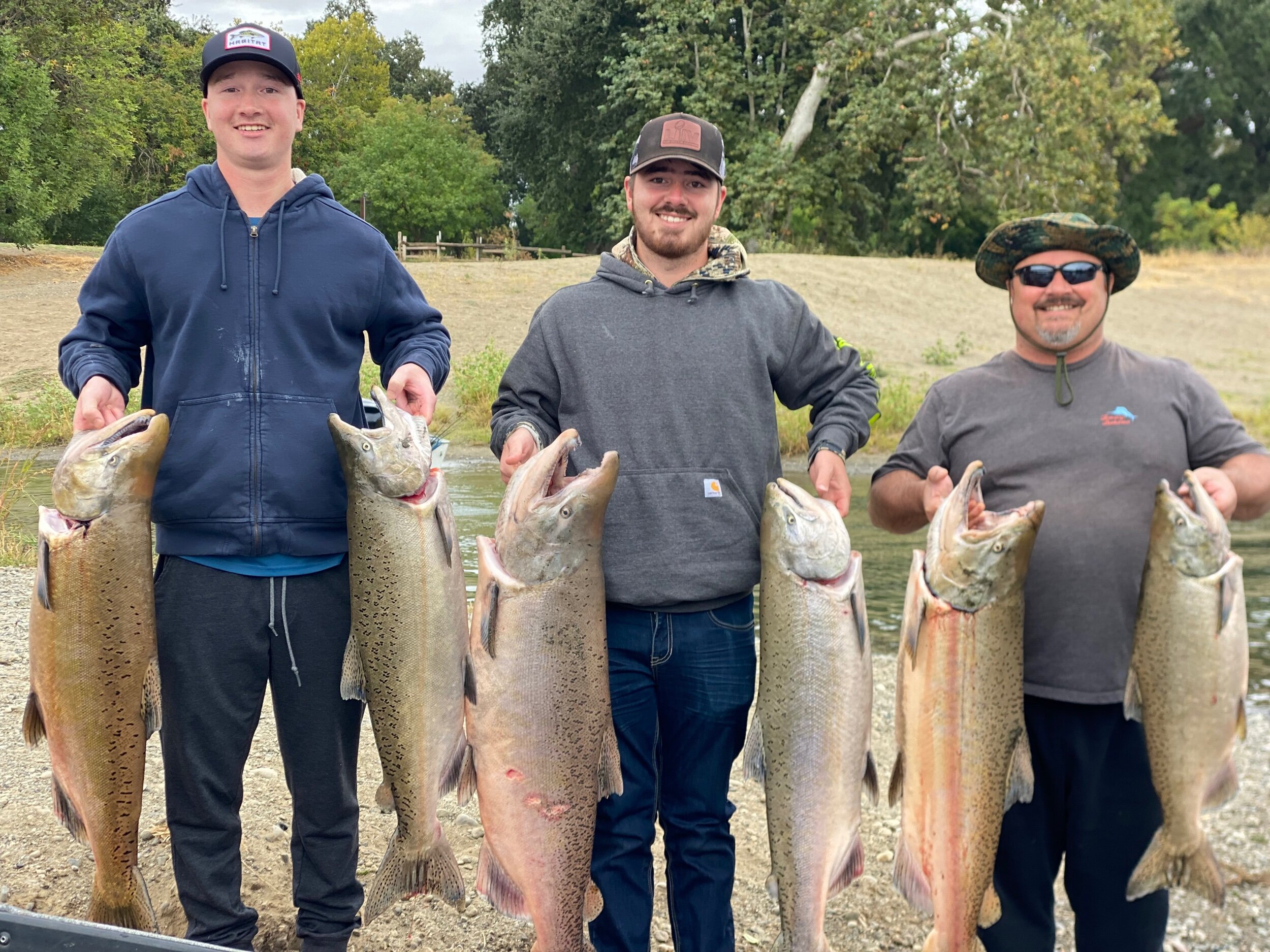 Limits of a great grade of king salmon caught by guests of Ryan Tripp’s Guide Service on September 19, 2021. Ryan primarily using plugs to fill his fish box full of kings. His clients enjoying the rewards of a healthy Sacramento River salmon run.