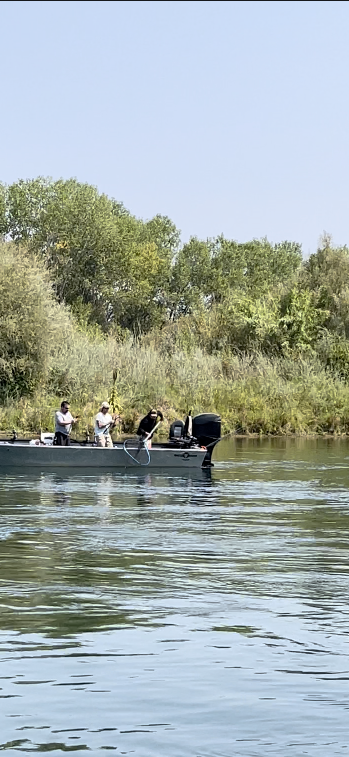 Fishing guide Dakota Townley prepares to net a salmon for his clients. Dakota was dragging bait when he hooked up this king. Fishing out of Woodson Bridge prior to moving his operation up to the Barge Hole in Cottonwood, Ca last week.