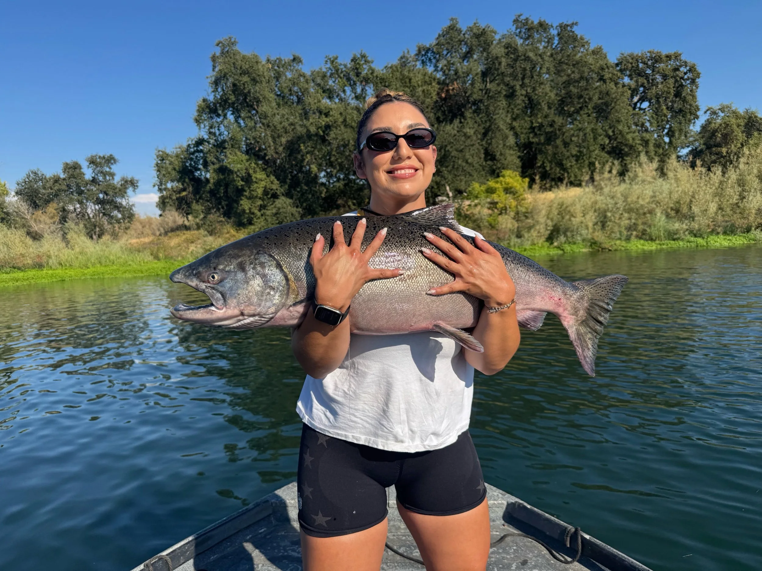 Feather River Salmon Fishing Report 9/3/2025. “Arrival of the Silver Bullets”