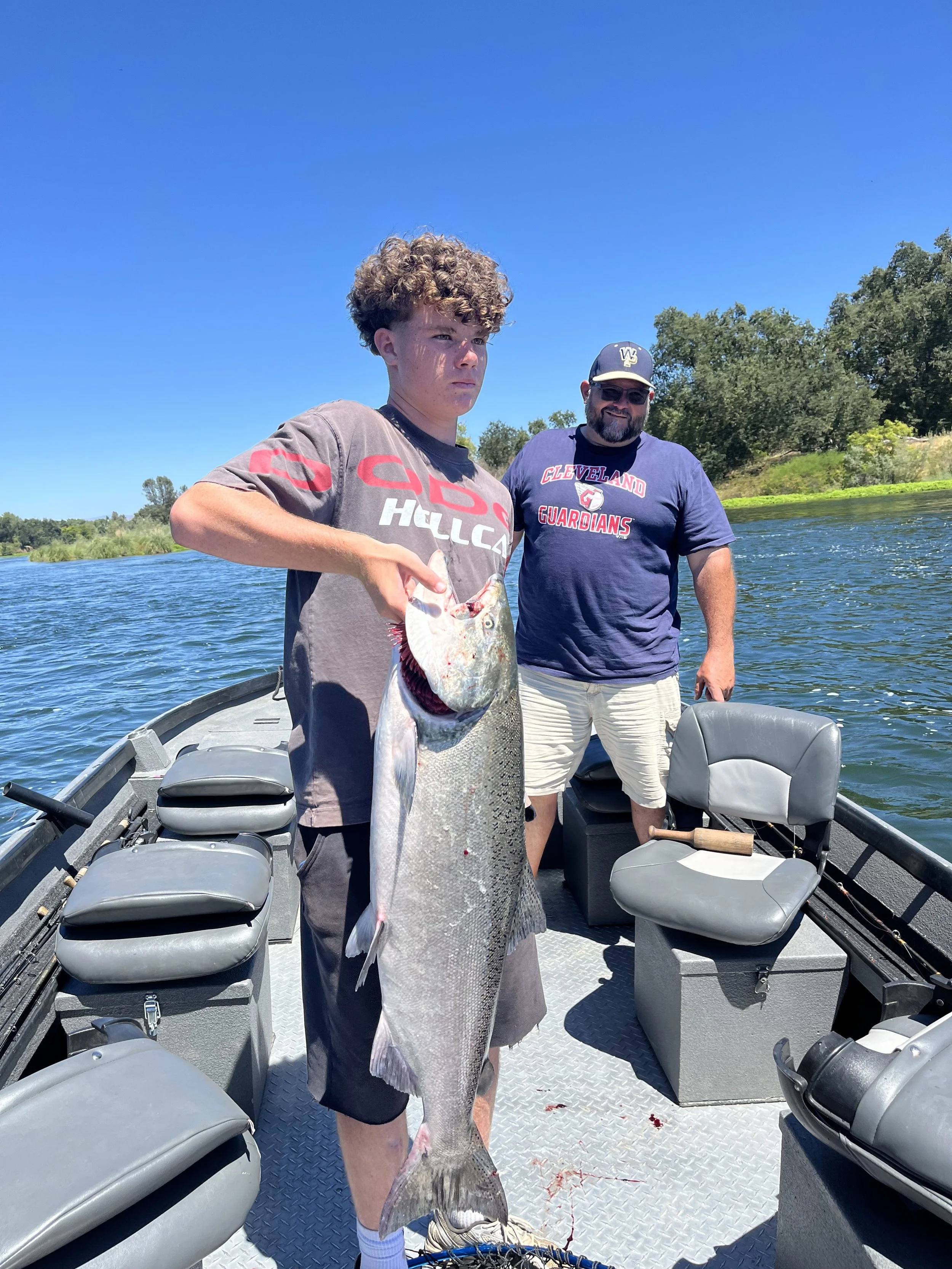 Sacramento River Salmon Fishing Report 8/3/2026  “King Salmon Are Back In NorCal Rivers”