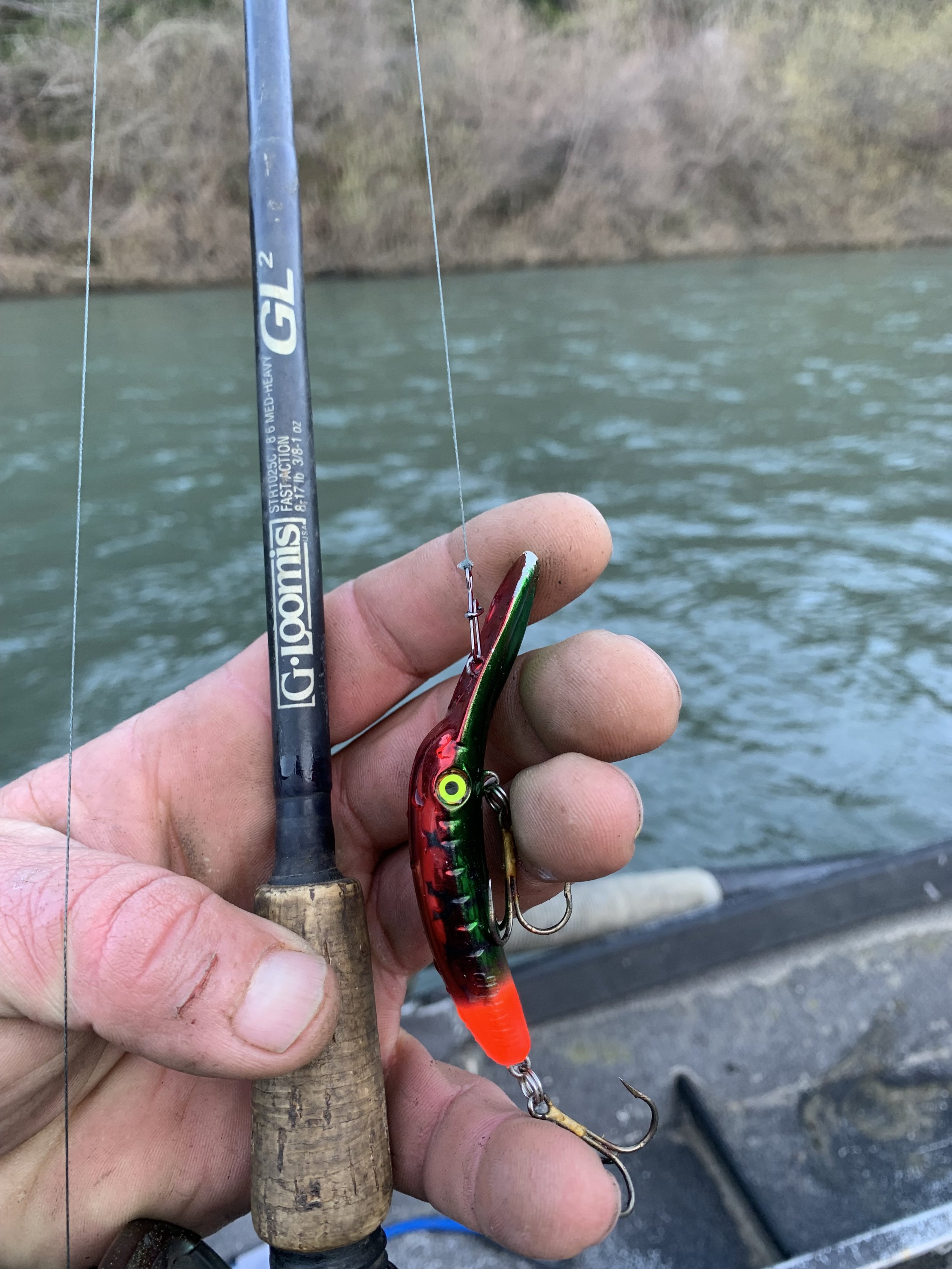 Northern California Steelhead Fishing - January 5, 2024 - A Hidden Gem In  The “Emerald Triangle”…