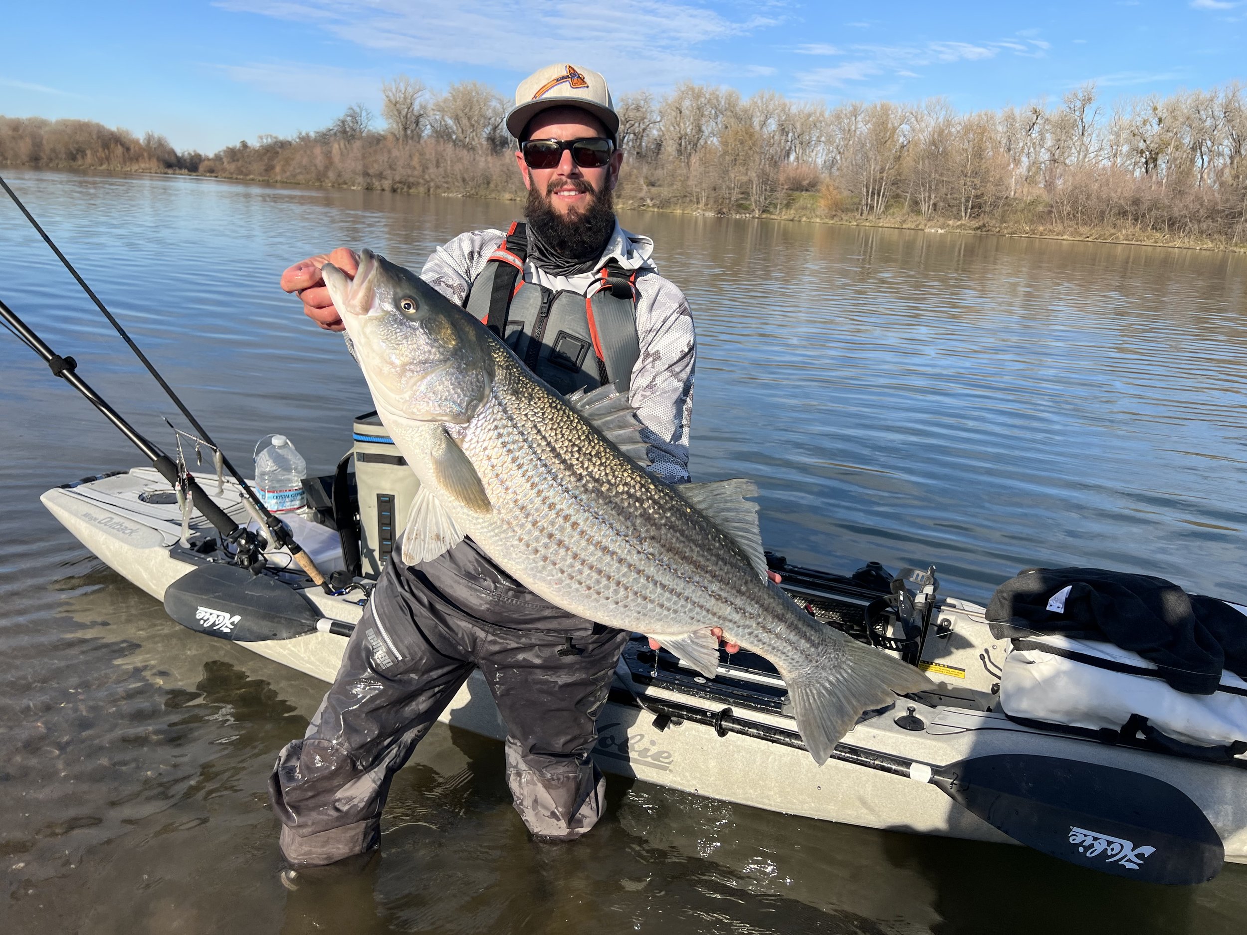 Sacramento River Trophy Striped Bass Fishing Report 2/3/22 - “Ding