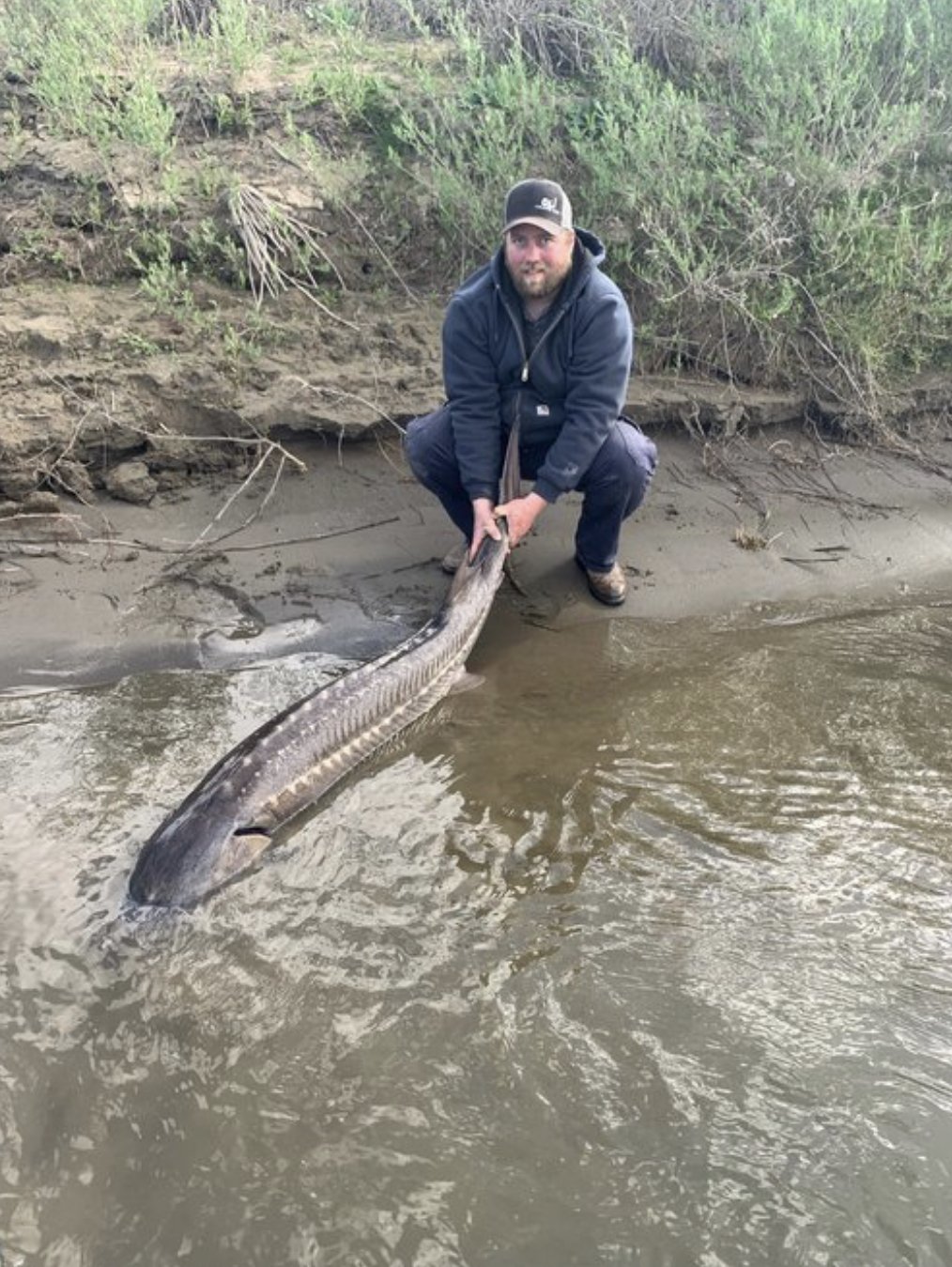 Sacramento River Fishing Report 1/5/2023 “Sturgeon Fishing Time”…