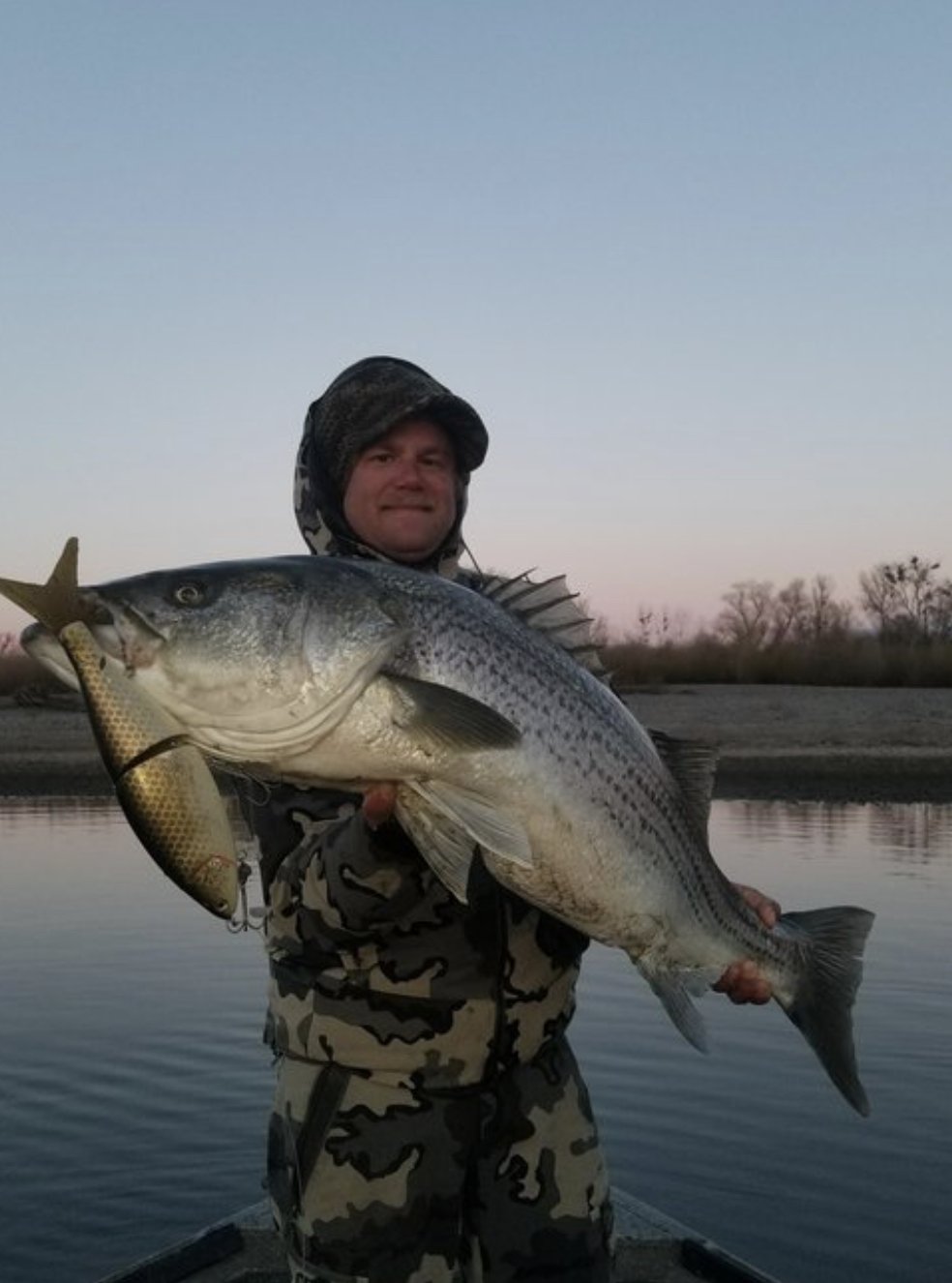 Sac River gives up tanker big-bait striper