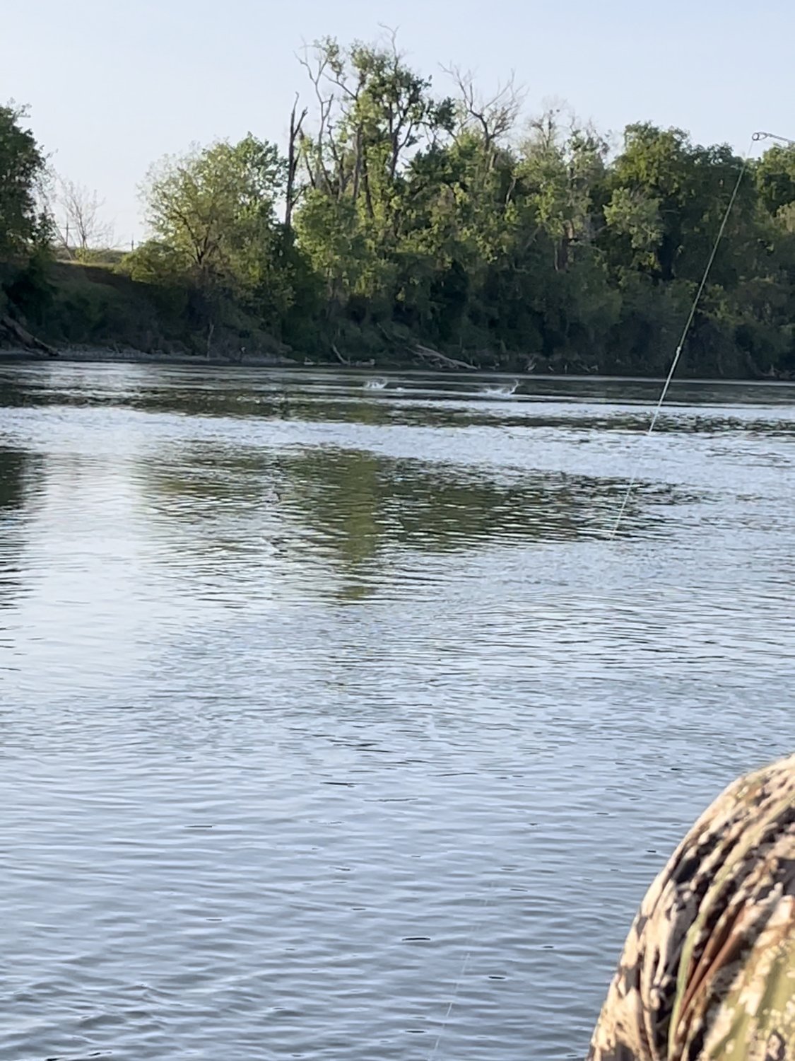 Striper Fishing on the Sacramento River. Don't miss the bite! - Bob Sparre  Fishing Guide Services