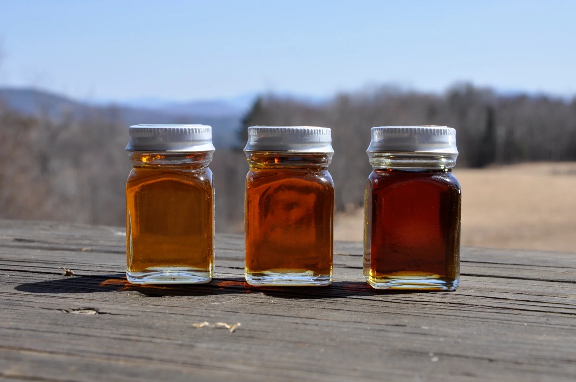 Vermont Maple Association samples of grade color for comparison. For more information about the new grading system, check out this article in Forbes Magazine.