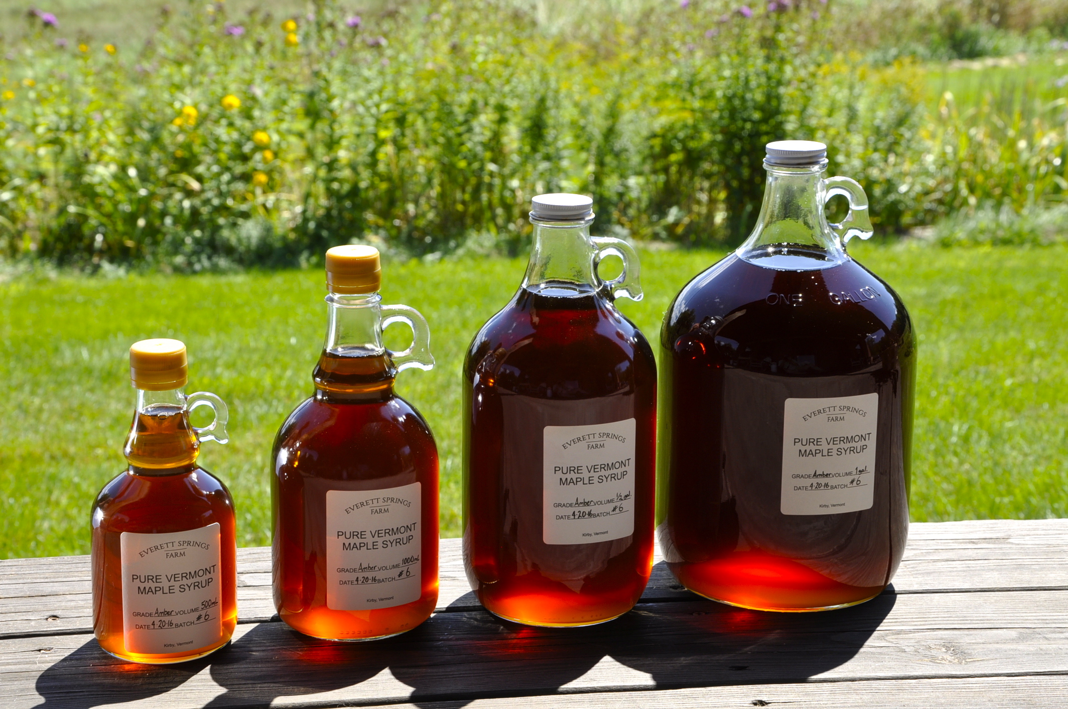 Our sugar maples yield sap that process into three grades of syrup: Golden Delicate; Grade Amber Color - Rich Taste and Grade A Dark - Robust Taste. Though syrup in each bottle above may appear to vary by color, but all four bottles contain "Amber Color - Rich Taste". The syrup in the varying-sized bottles catches light according to its depth. Every season varies according to the whim of the sugar maples and all the imaginable natural variables.