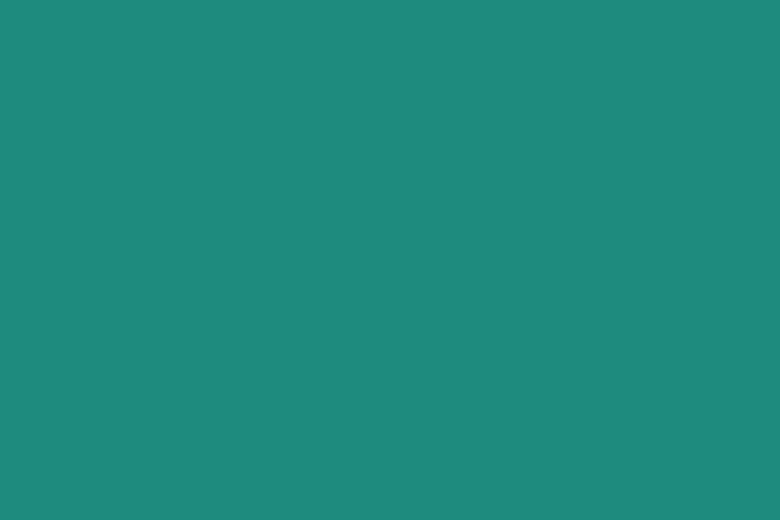 Green+banner.webp