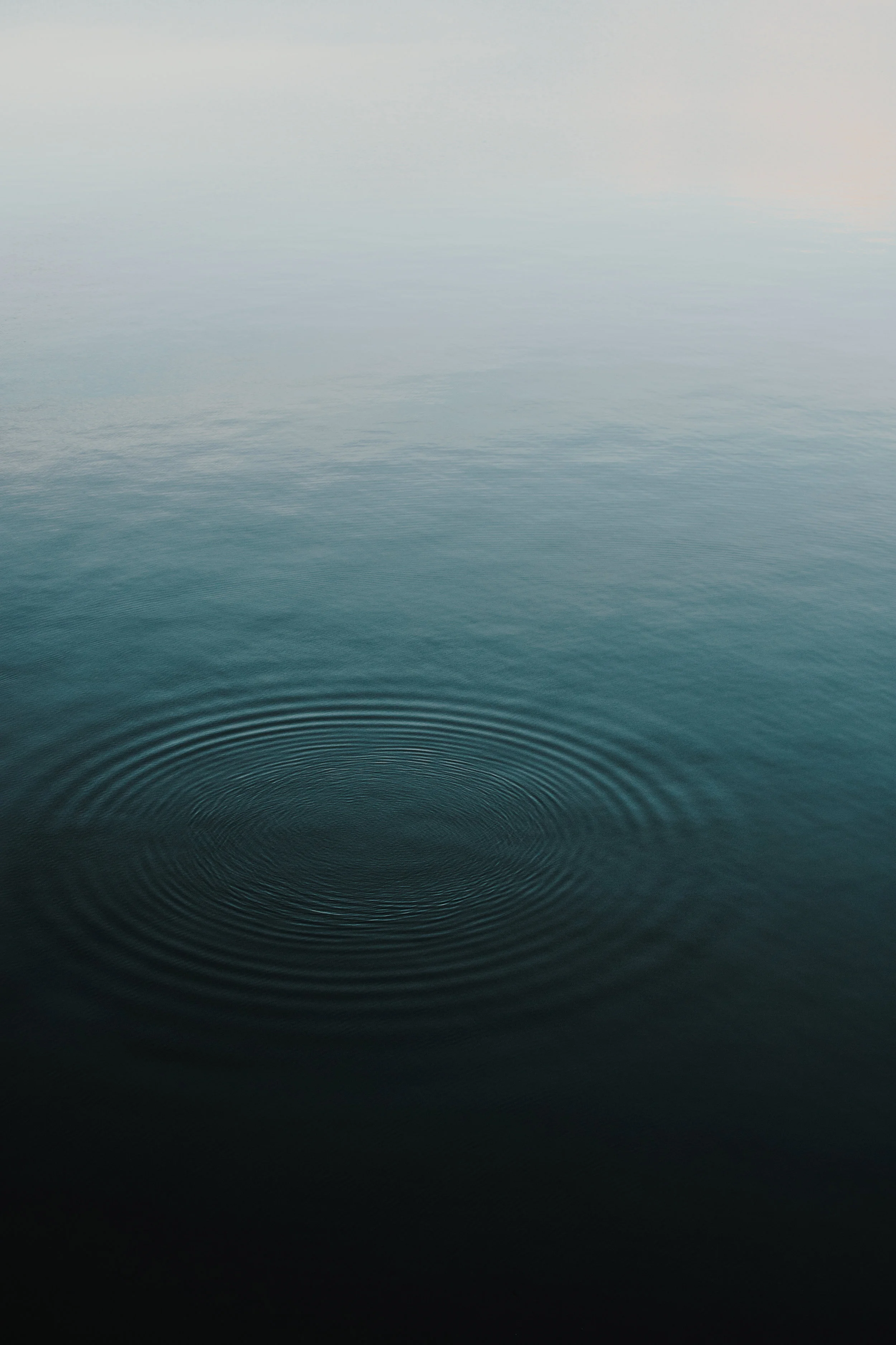 Keeping calm amidst the chaos