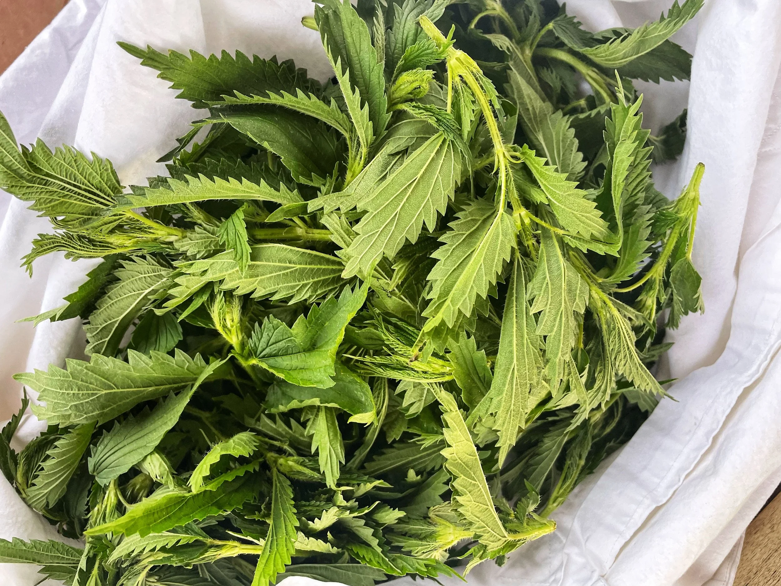 Stinging Nettle Lemon Cake