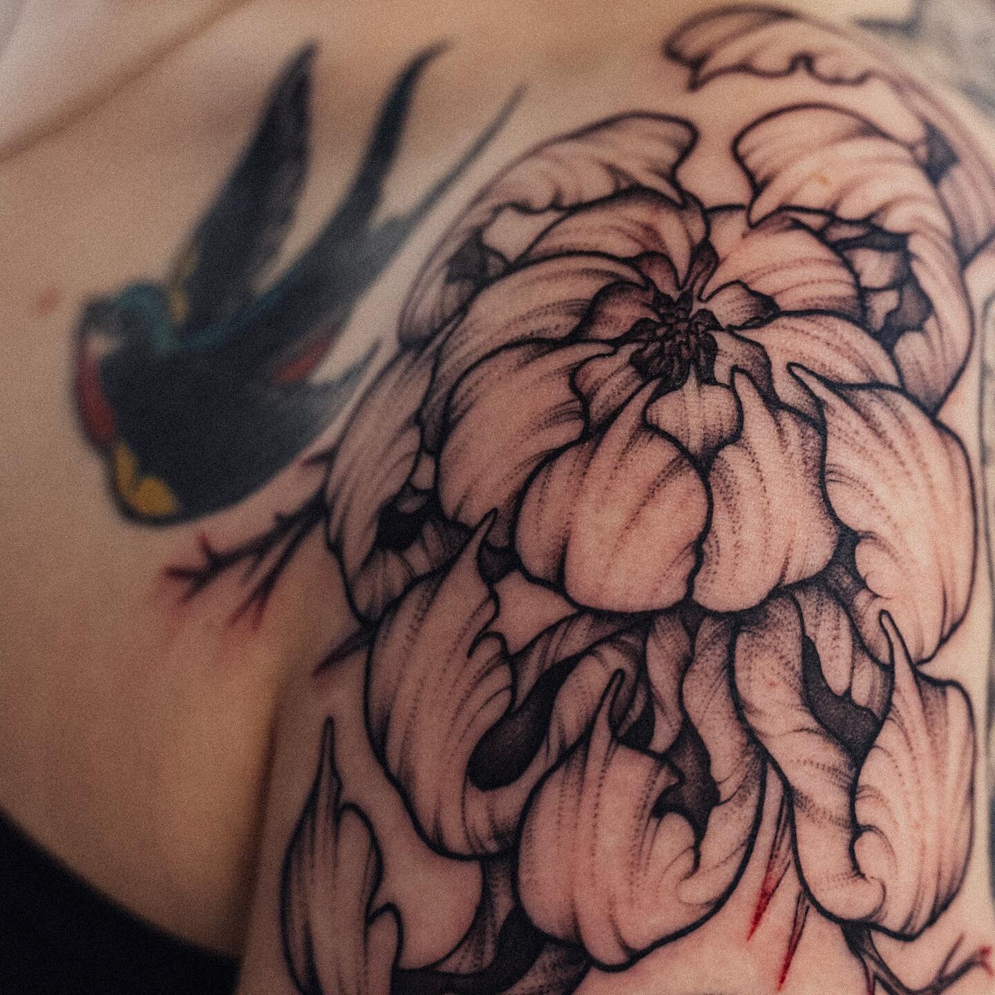 Freehand shoulder chrysanthemum with thorns and subtle red accents. I had so much fun with this

#yyz #toronto #torontotattoo #torontotattooartist #torontolife #artist #photography #art #illustration #freehandtattoo #chrysanthemum #chrysanthemumtatto