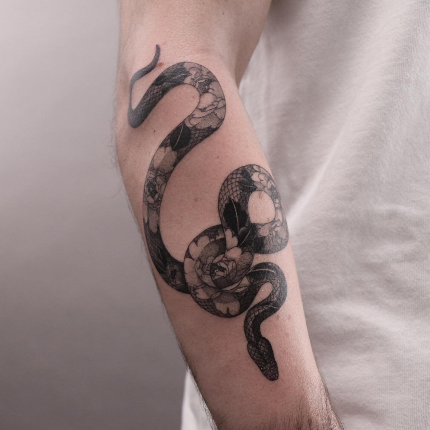 Python 🐍 

Thanks Connor! 
#inkandwatertattoo #fytcartridges #tattooartist #pythontattoo