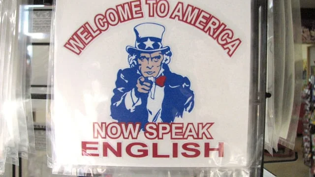 English Only_ MTV's Elect This (The Issues) 60s