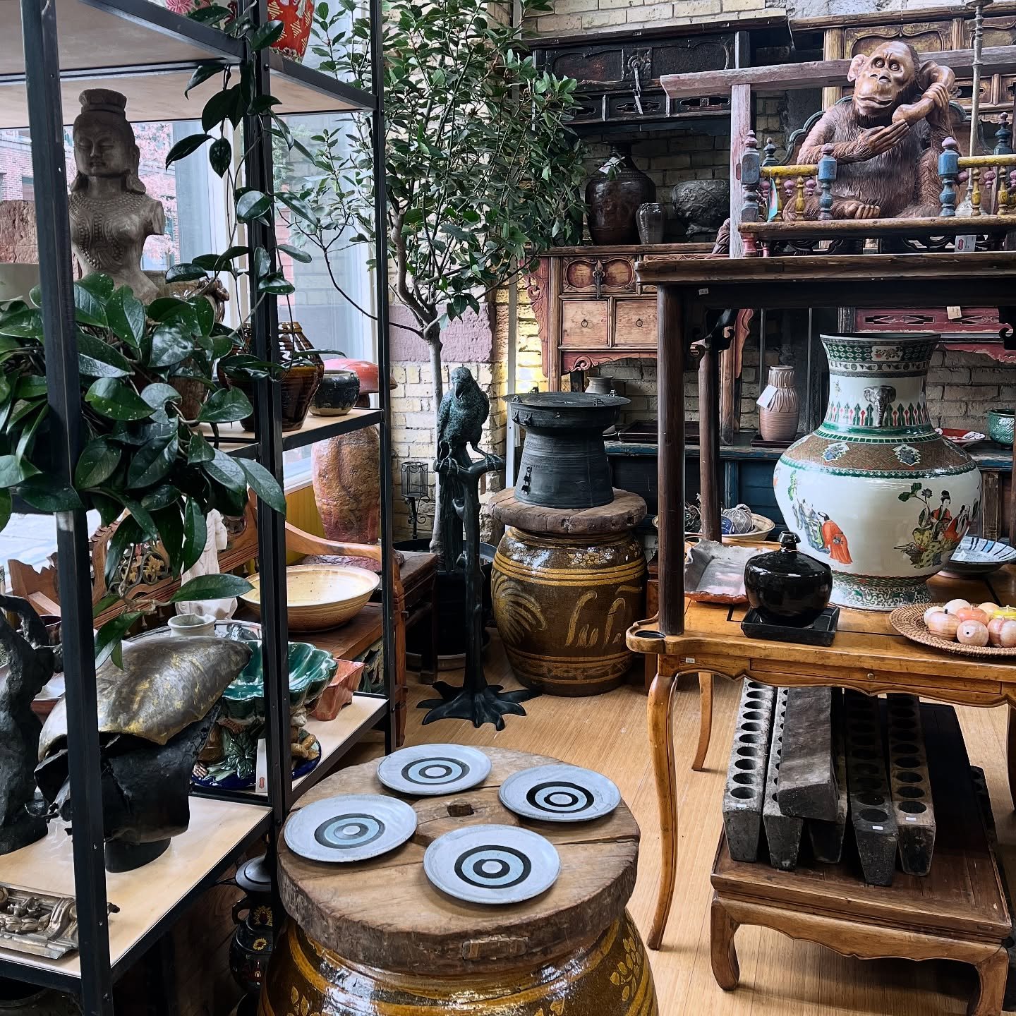It&rsquo;s looking like a jungle in the shop. Take a safari through our wild collection of local pottery, antique furniture and vintage decor. Let&rsquo;s play eye spy. Share what you see in the comments.

#antiquesafari #jungle #antiques #vintage #l
