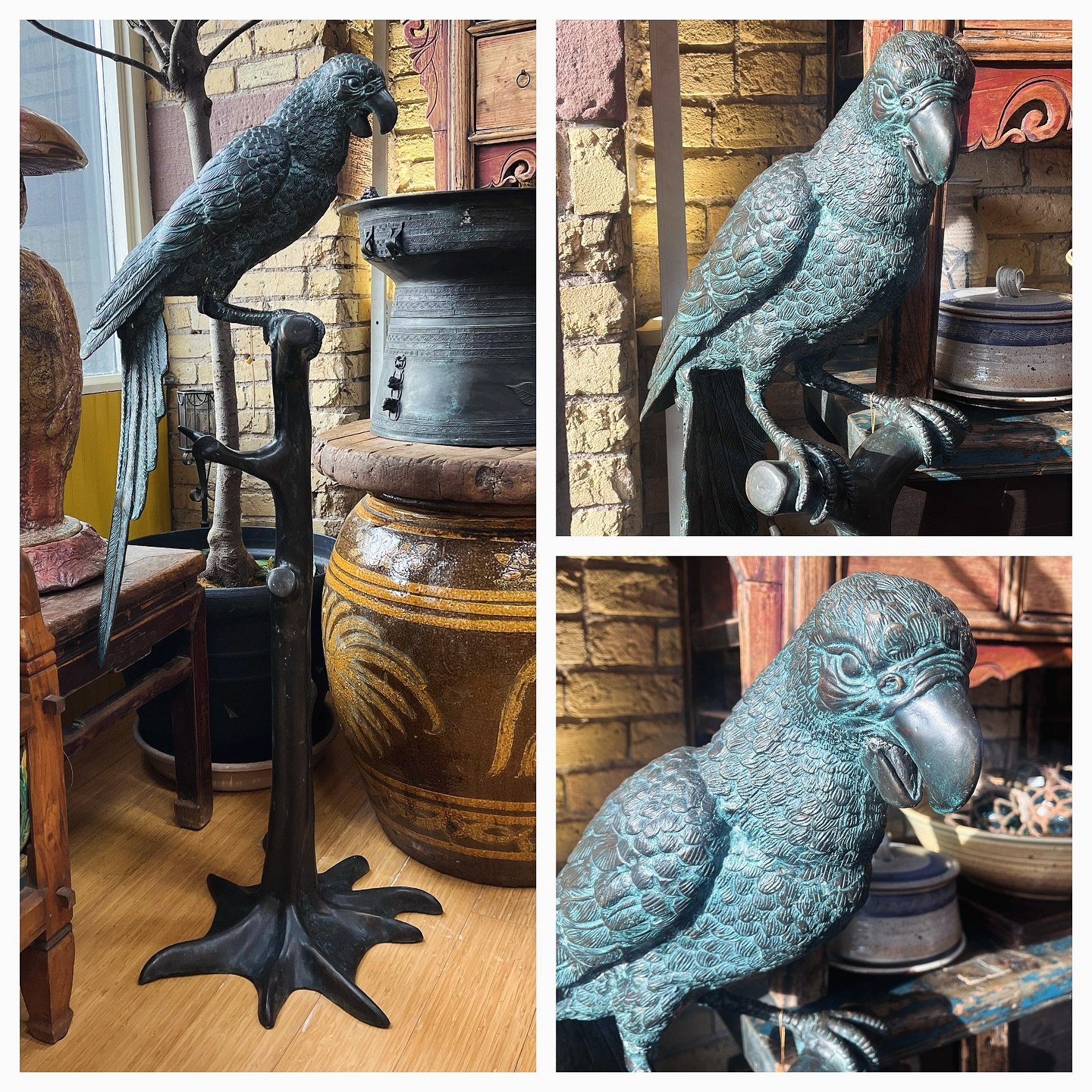 Love this vintage bronze parrot statue. It&rsquo;s life size and has so much character down to the tree trunk base. What should we name the parrot? Leave your suggestion in the comments.

#parrot #bronzestatue #bronze #animal #details #vintage #vinta