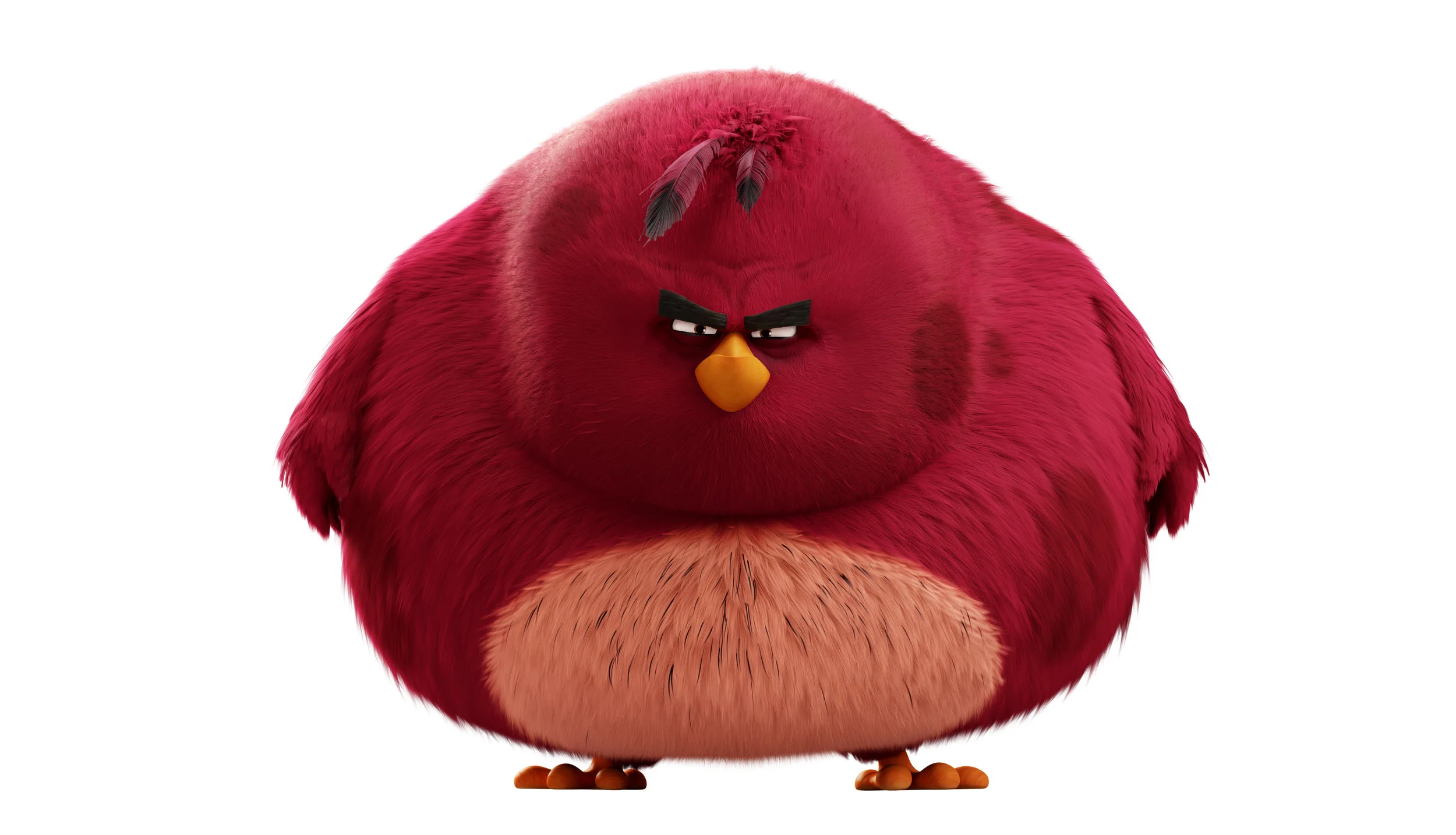 CTN_CharacterAD_035.jpg