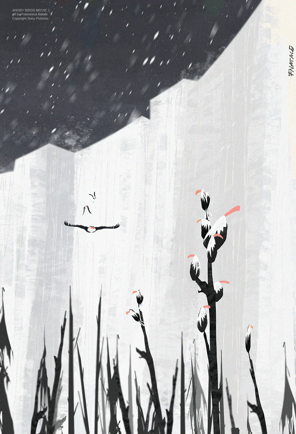 00 select 7 Francesca Natale.jpg