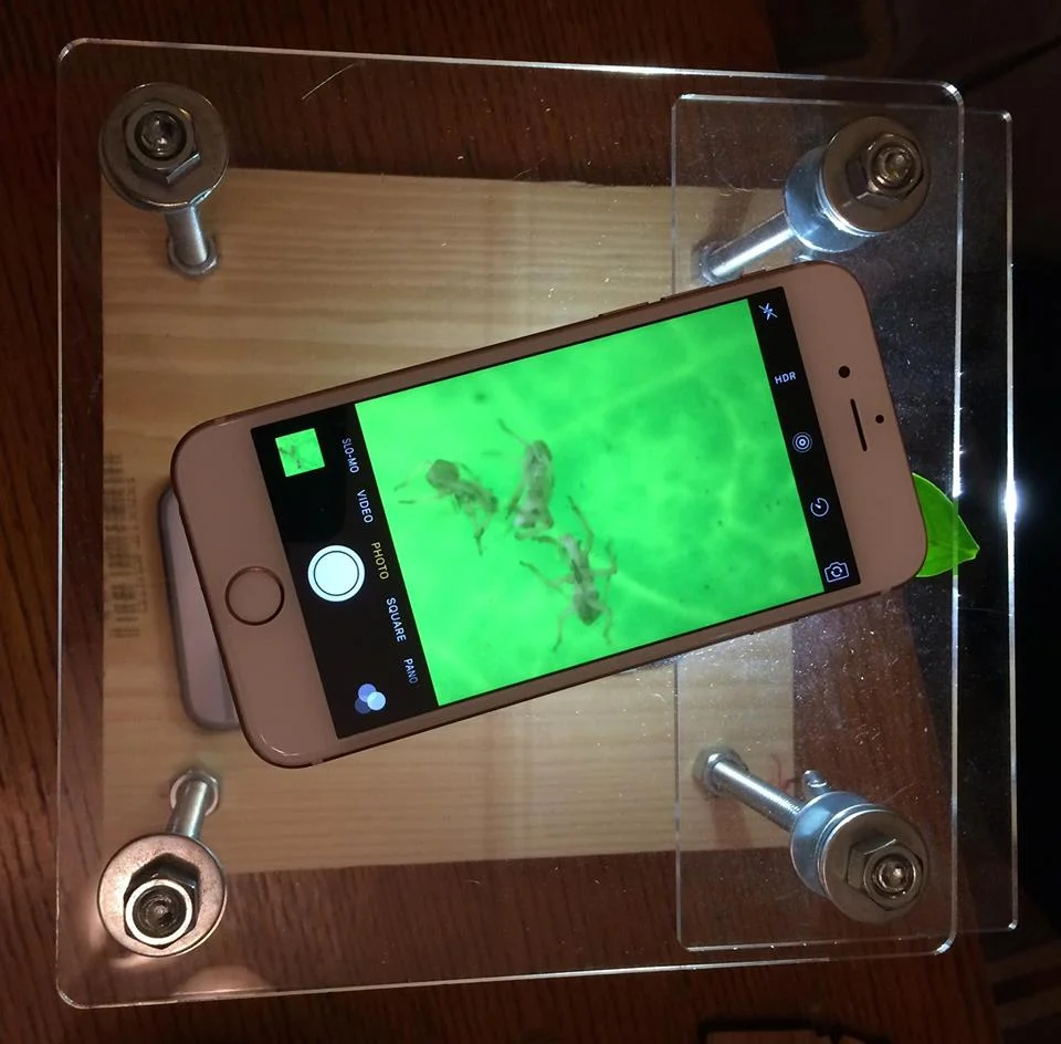 Cell Phone Microscope