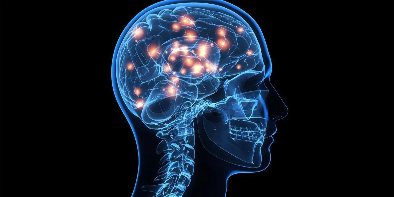 Human-Human Interface Workshop